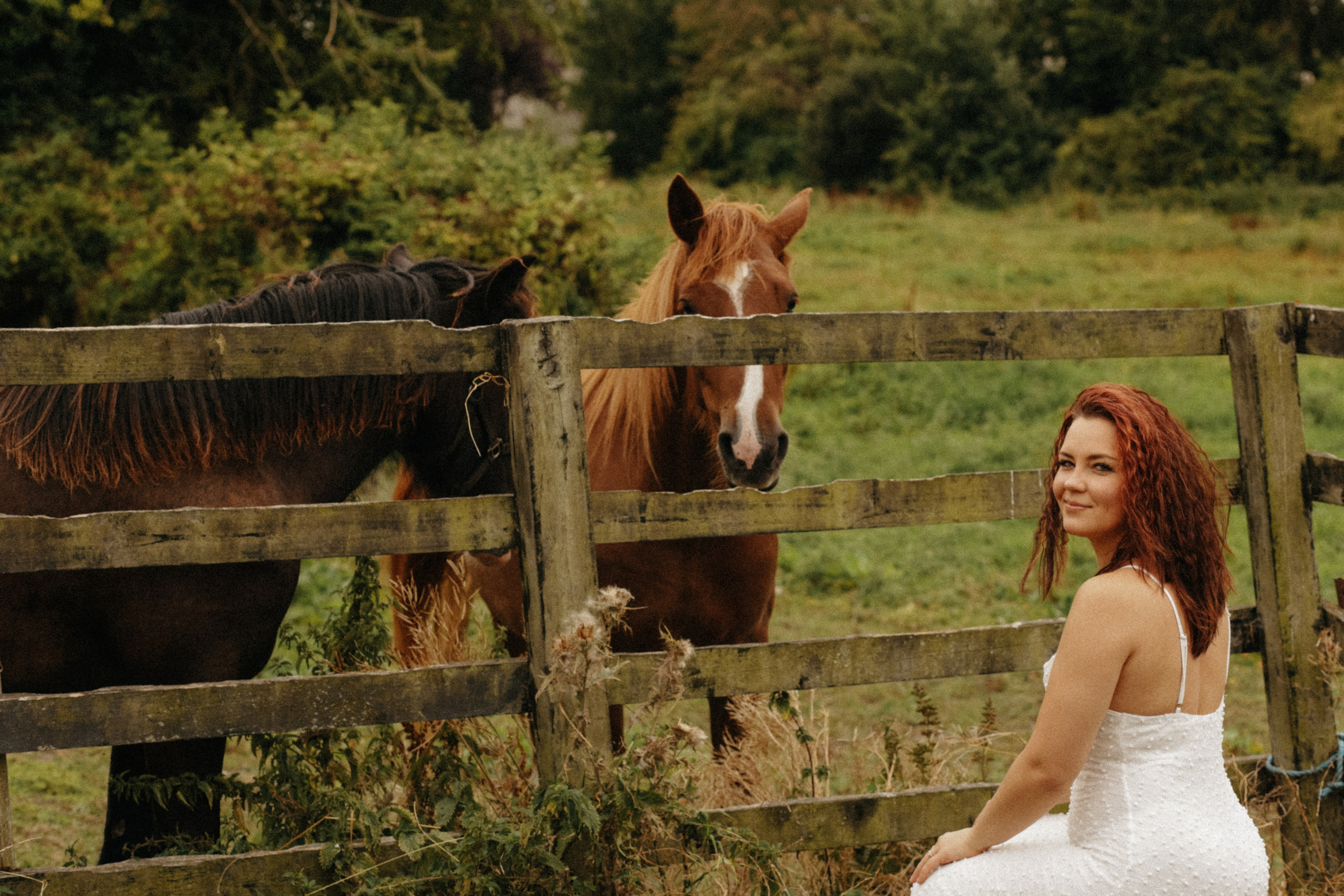 In The world of Horses. Photographer Margarita Antonova in Naas, Co Kildare