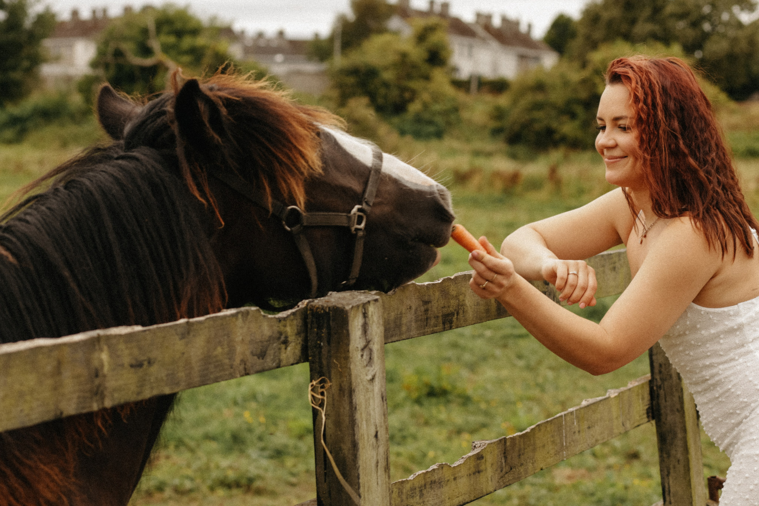 In The world of Horses. Photographer Margarita Antonova in Naas, Co Kildare