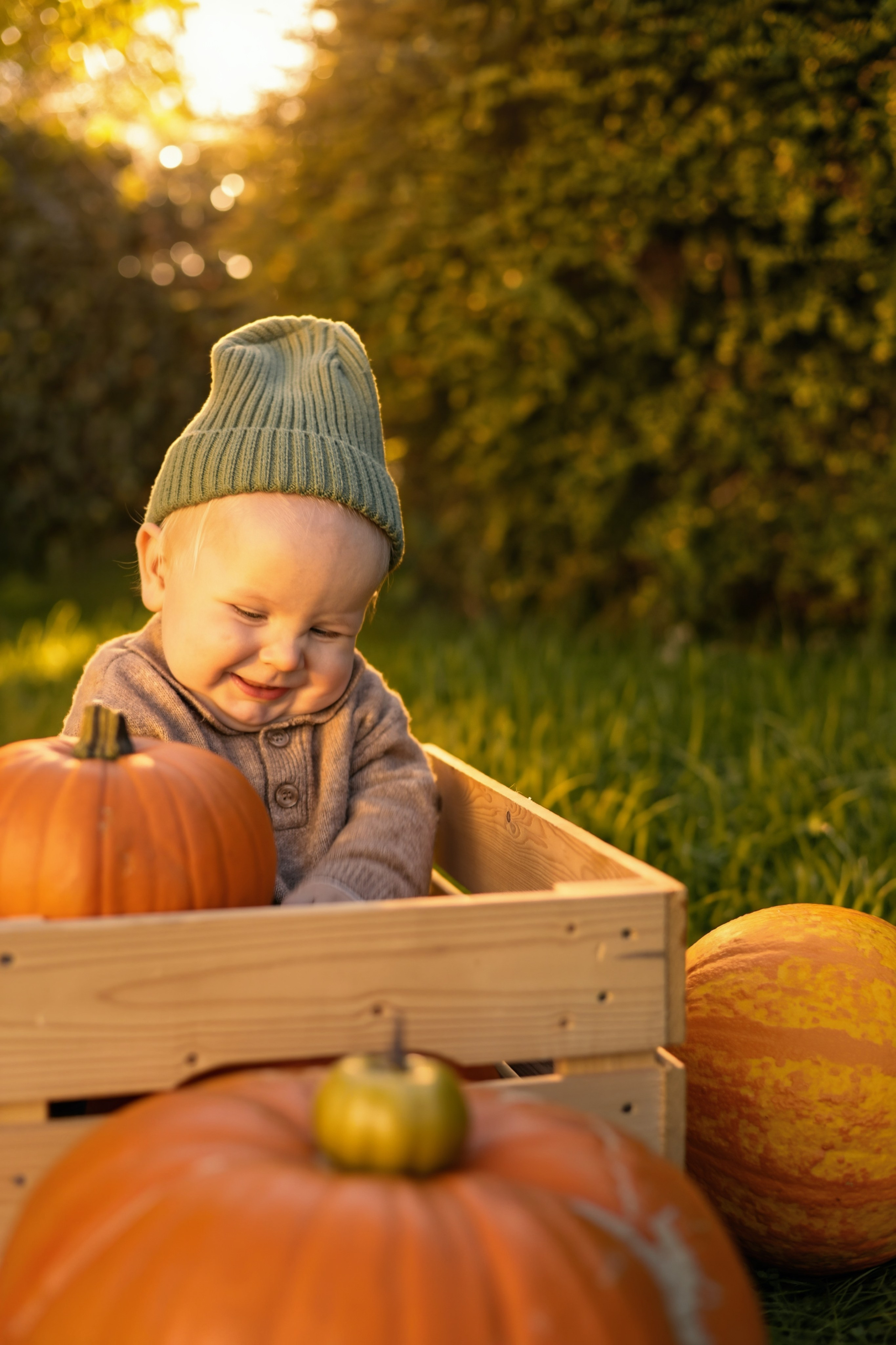 Leo’s First Autumn. Photographer Margarita Antonova in Naas, Co Kildare