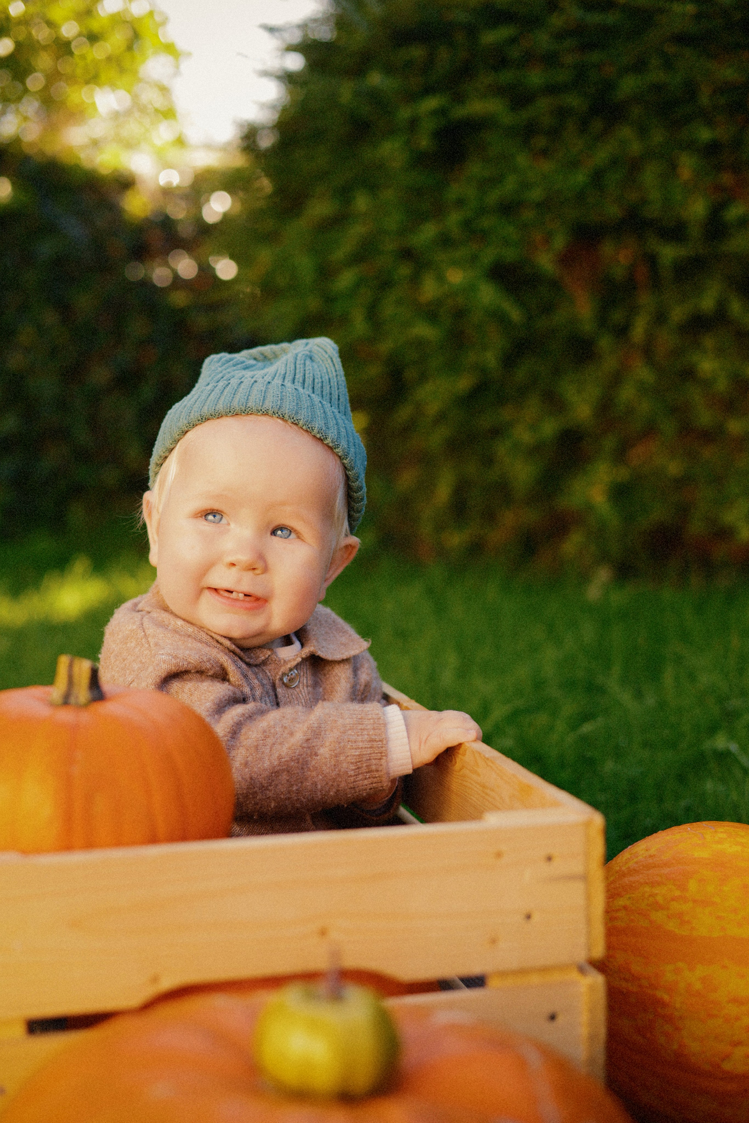 Leo’s First Autumn. Photographer Margarita Antonova in Naas, Co Kildare