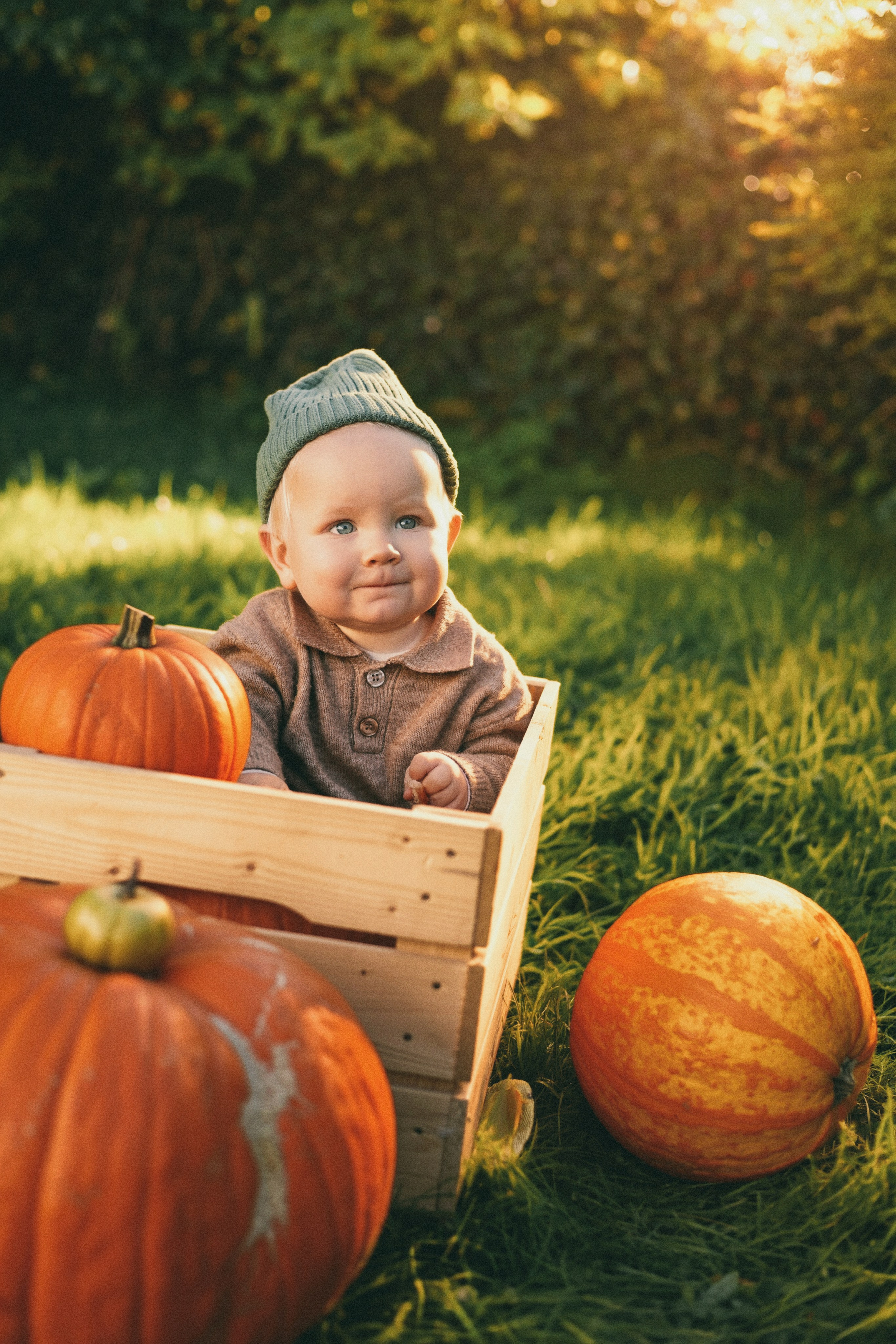 Leo’s First Autumn. Photographer Margarita Antonova in Naas, Co Kildare