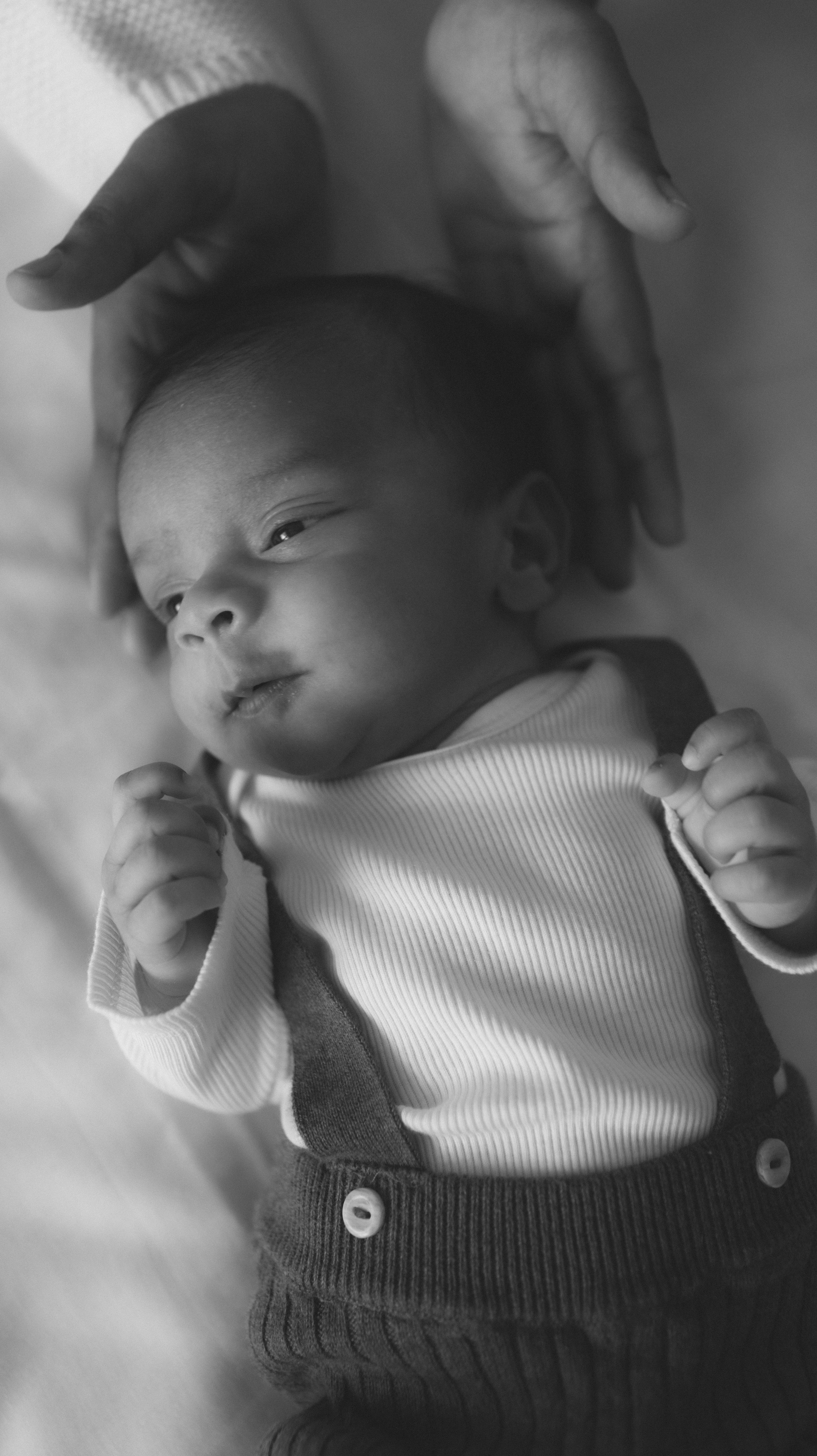 A few weeks. Photographer Margarita Antonova in Naas, Co Kildare
