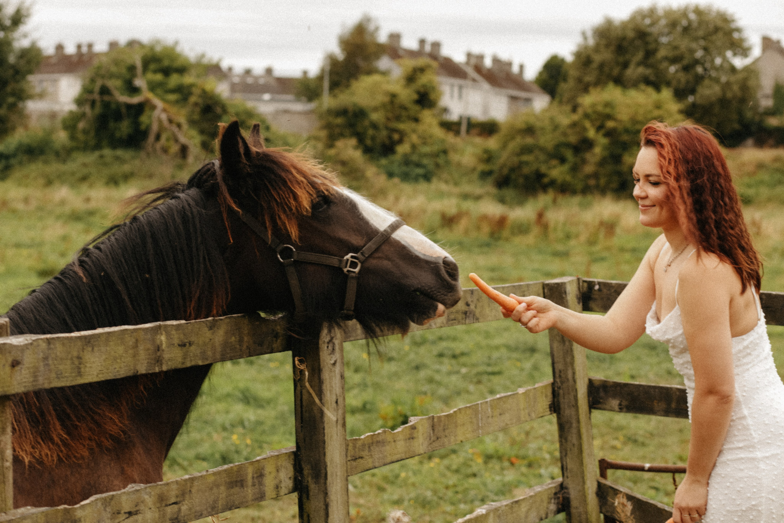 In The world of Horses. Photographer Margarita Antonova in Naas, Co Kildare