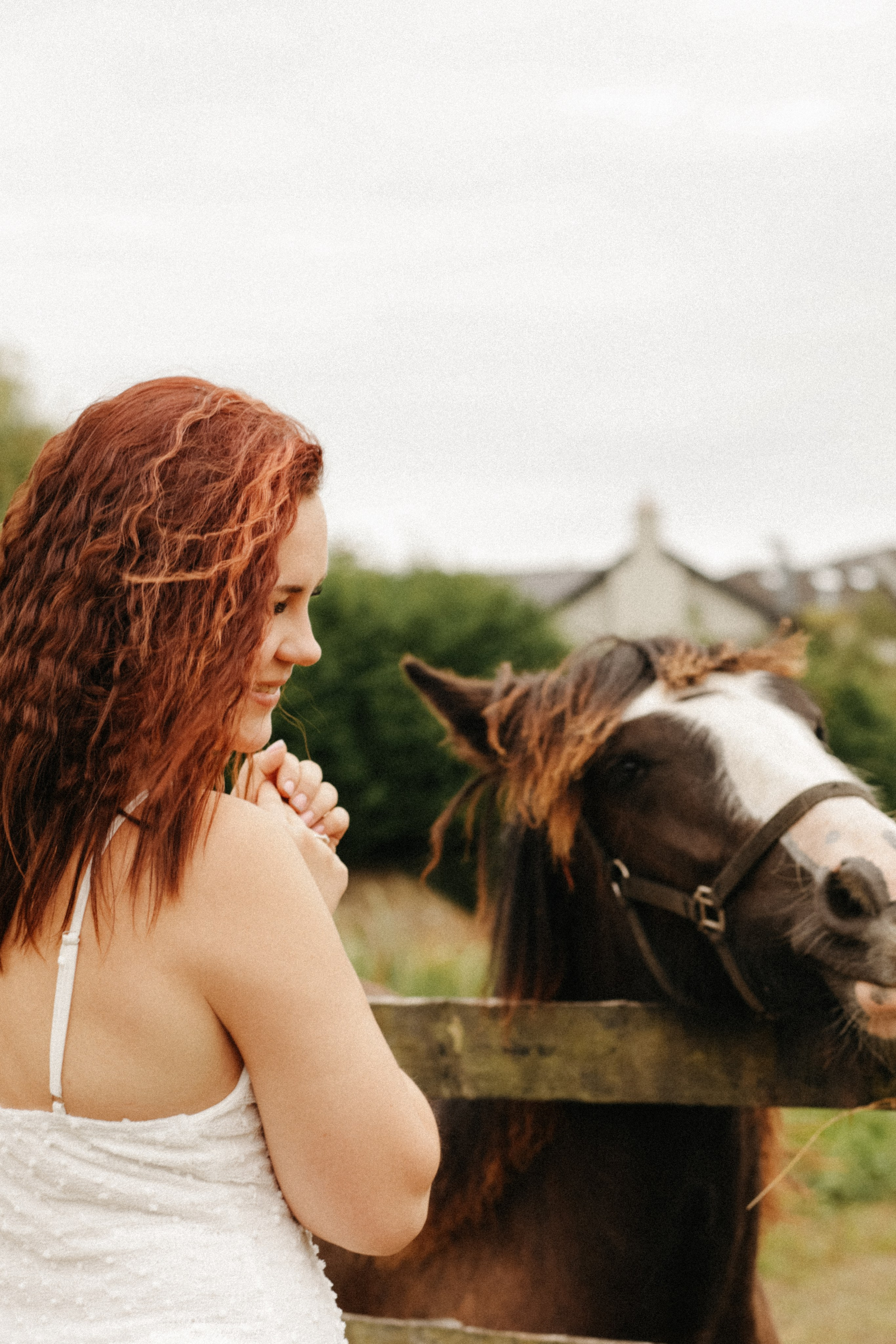 In The world of Horses. Photographer Margarita Antonova in Naas, Co Kildare