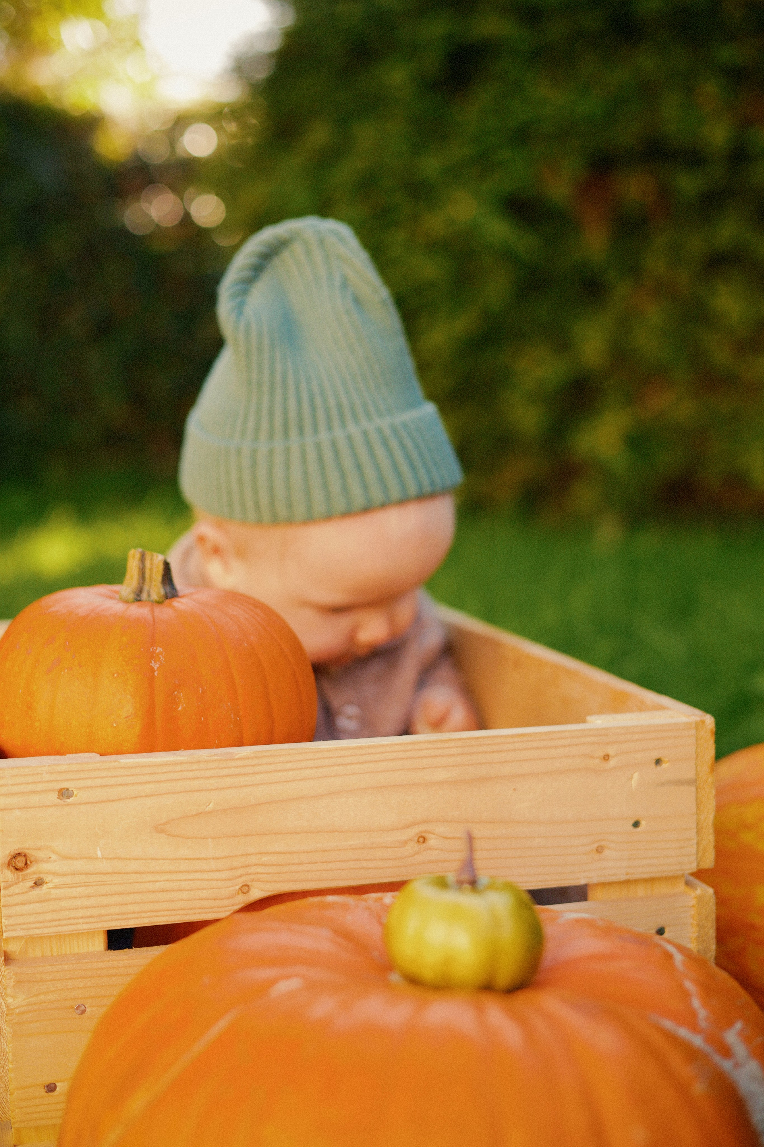 Leo’s First Autumn. Photographer Margarita Antonova in Naas, Co Kildare
