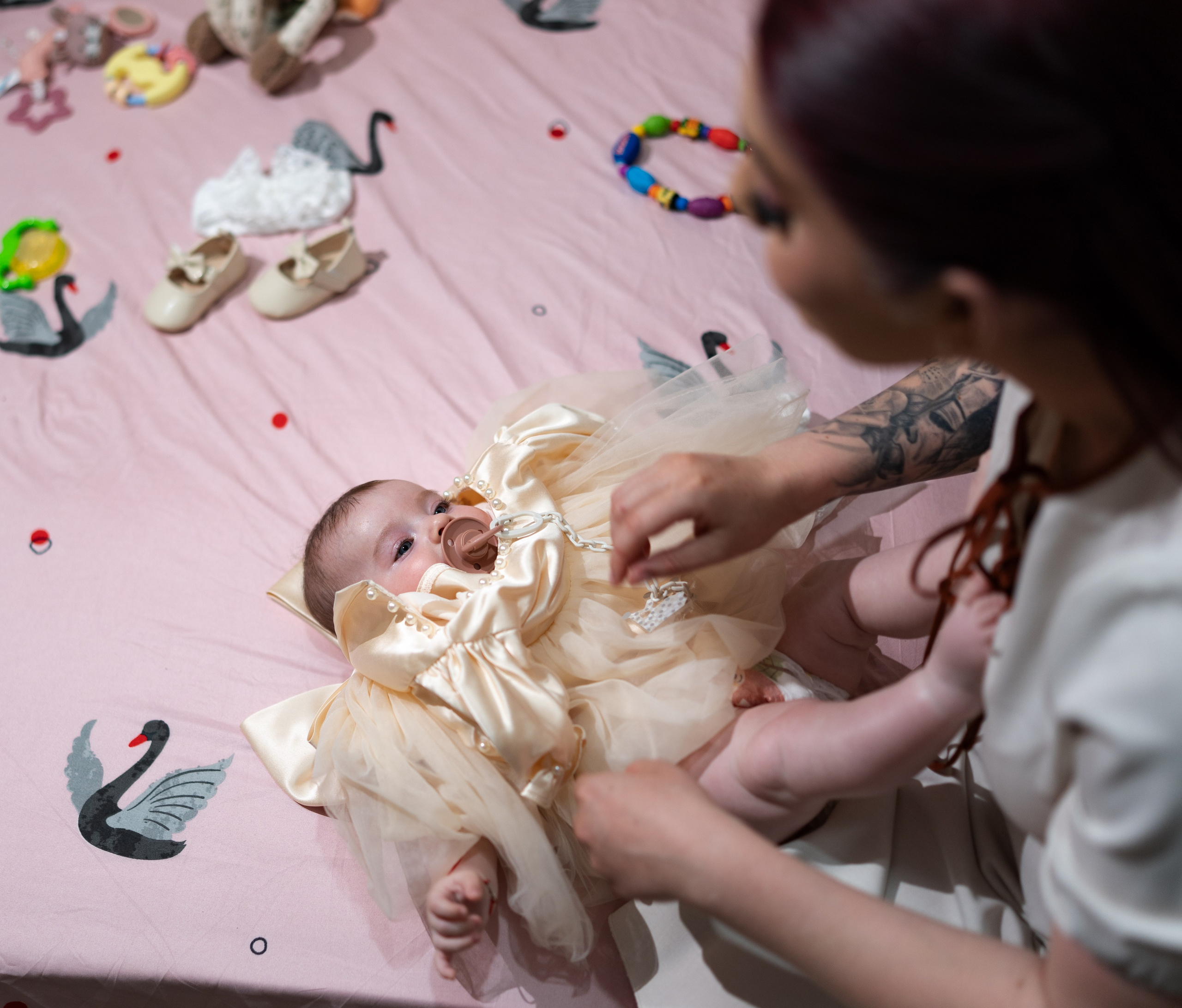 ✨ Portofoliu Botez ✨. Murgeanulucian