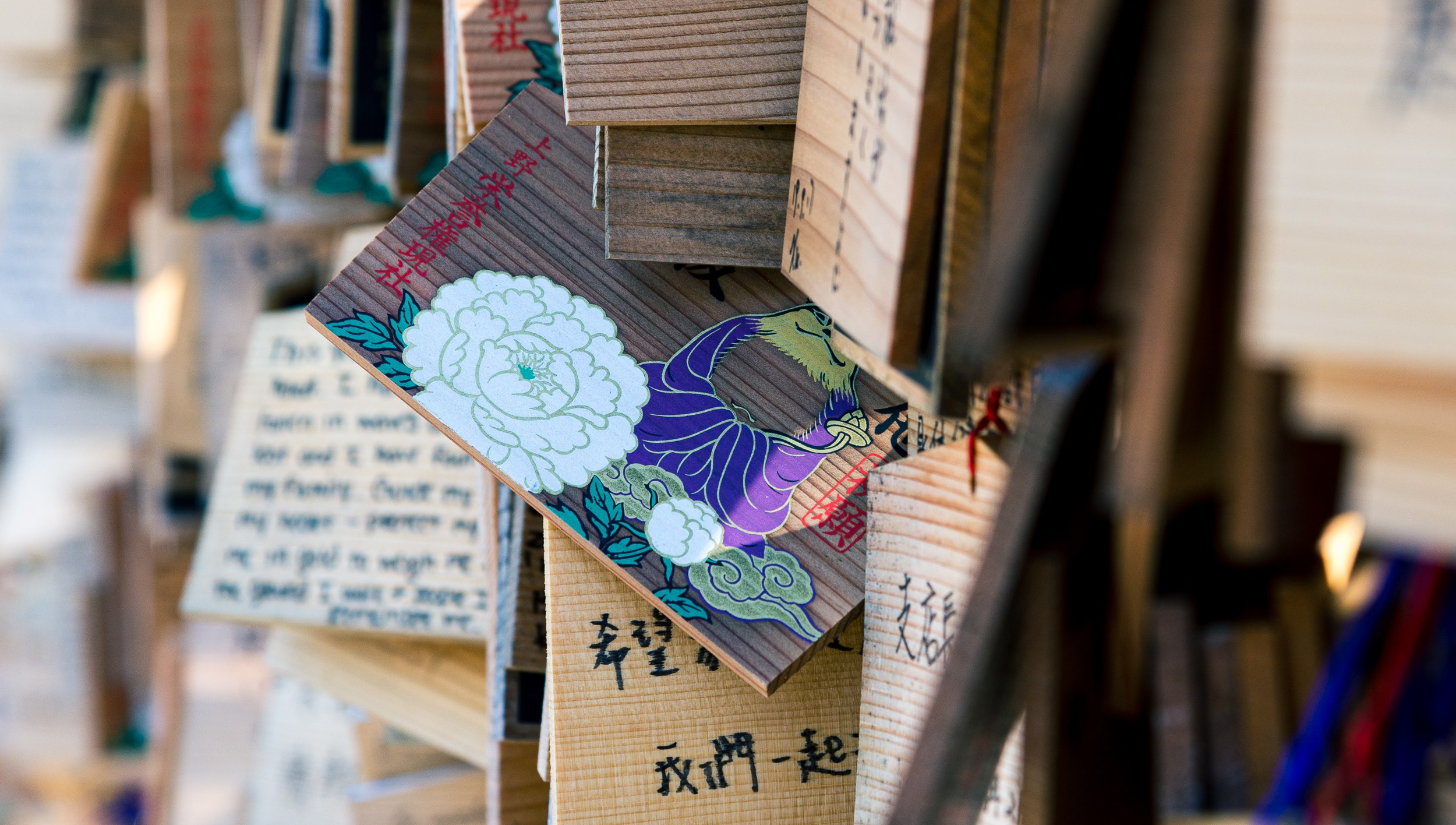 Japan. Marius Ciocan