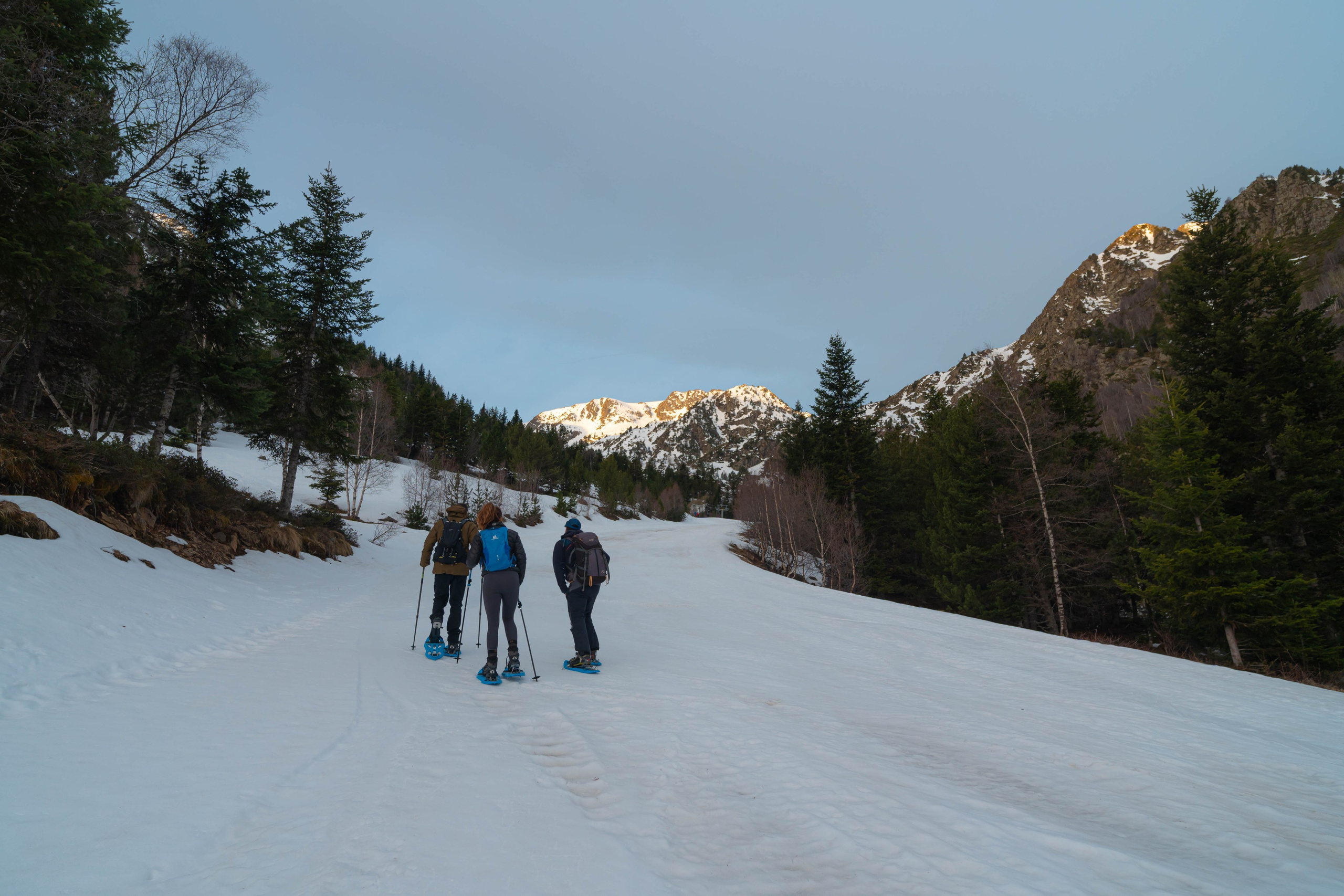 Ruta Comas de Fort. Alba del Norte Studio