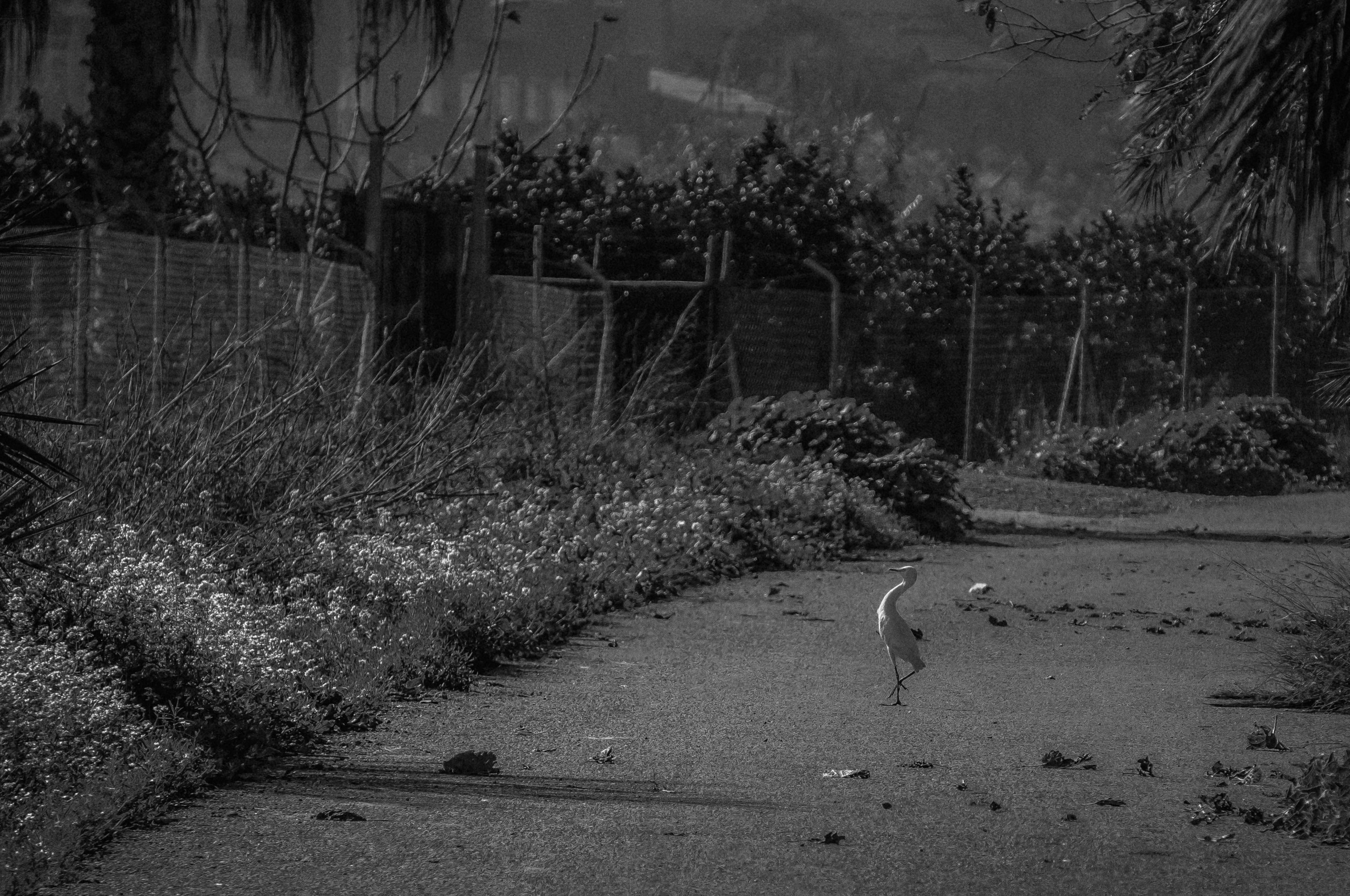 Rojales. Alba del Norte Studio