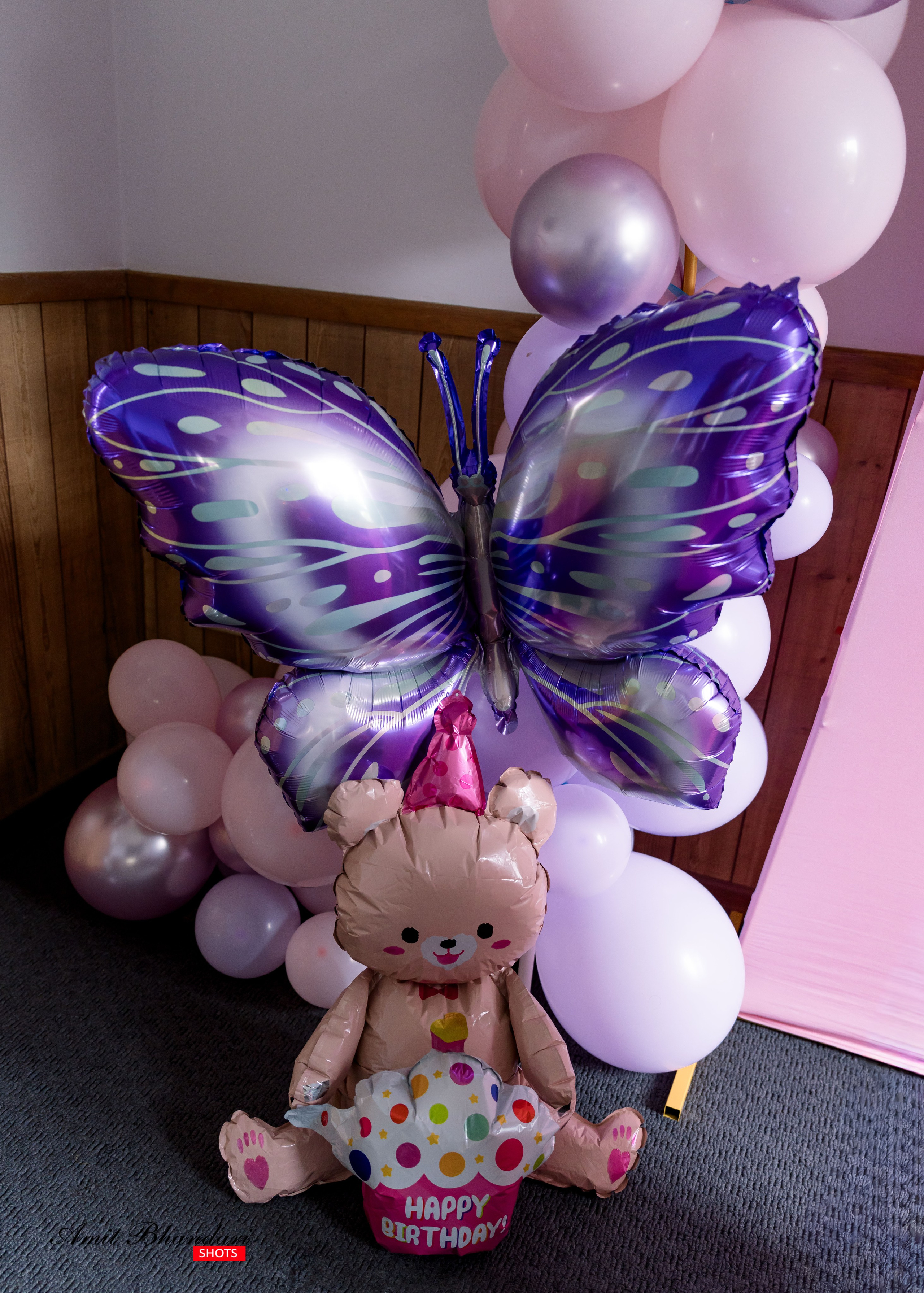 Yuhana’s Cake Smash Session. Freelance Photographer in Newcastle & Central Coast