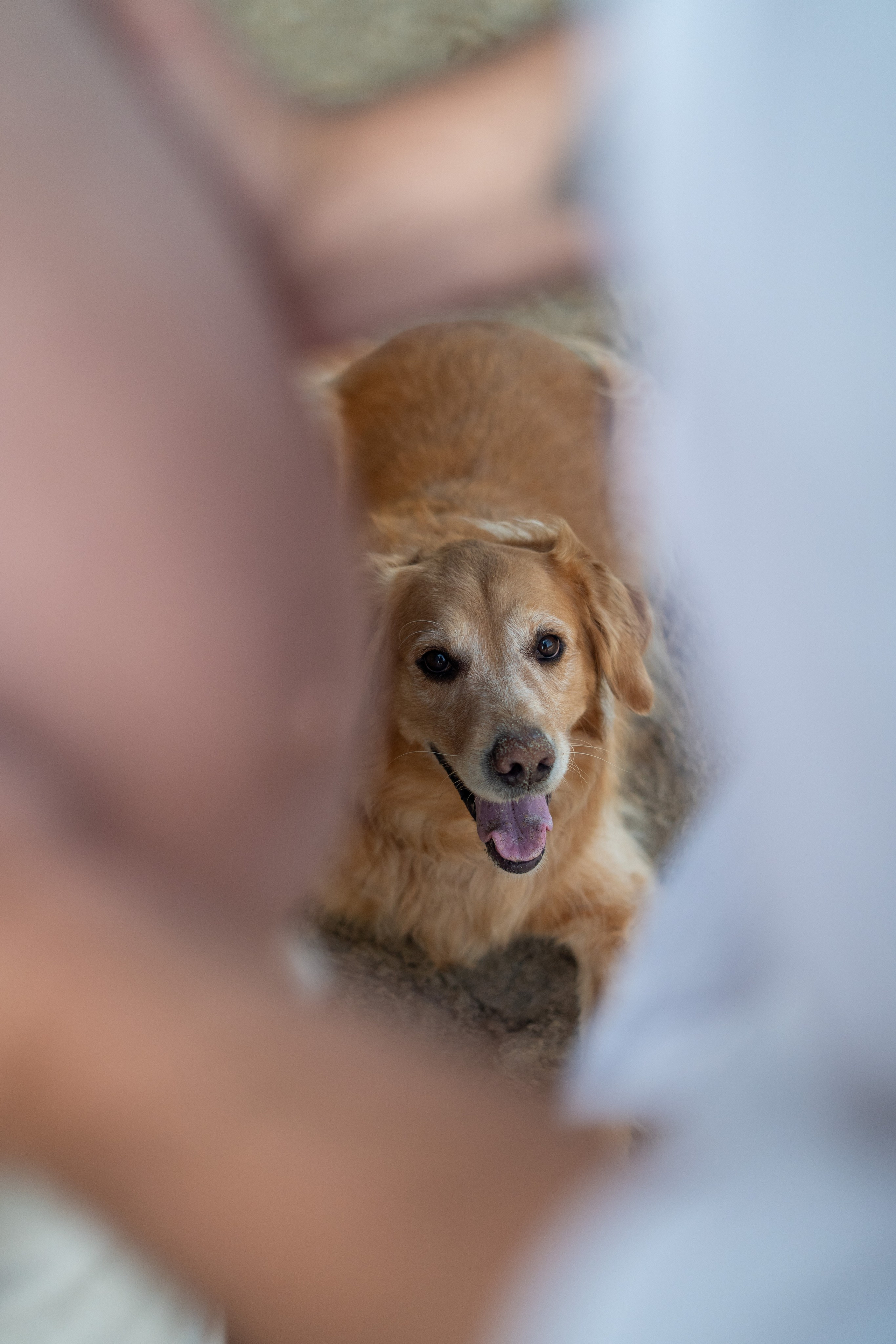 Ensaio Praia — Rafaela e César. Frames by Giovani Braga