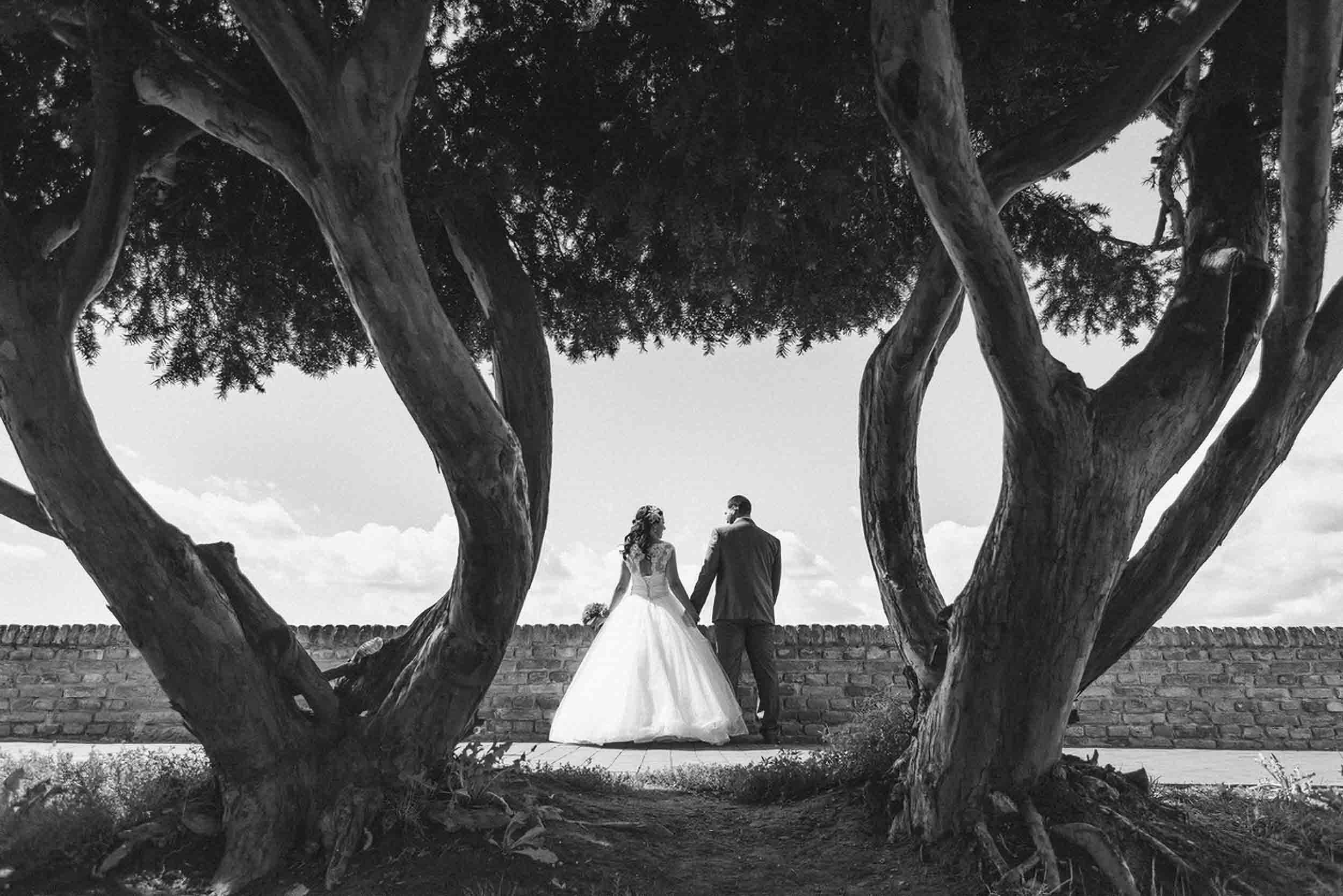 Mladenci ispod impozantnih stabala na Petrovaradinskoj tvrđavi – venčanje u Novom Sadu u crno-belom stilu
