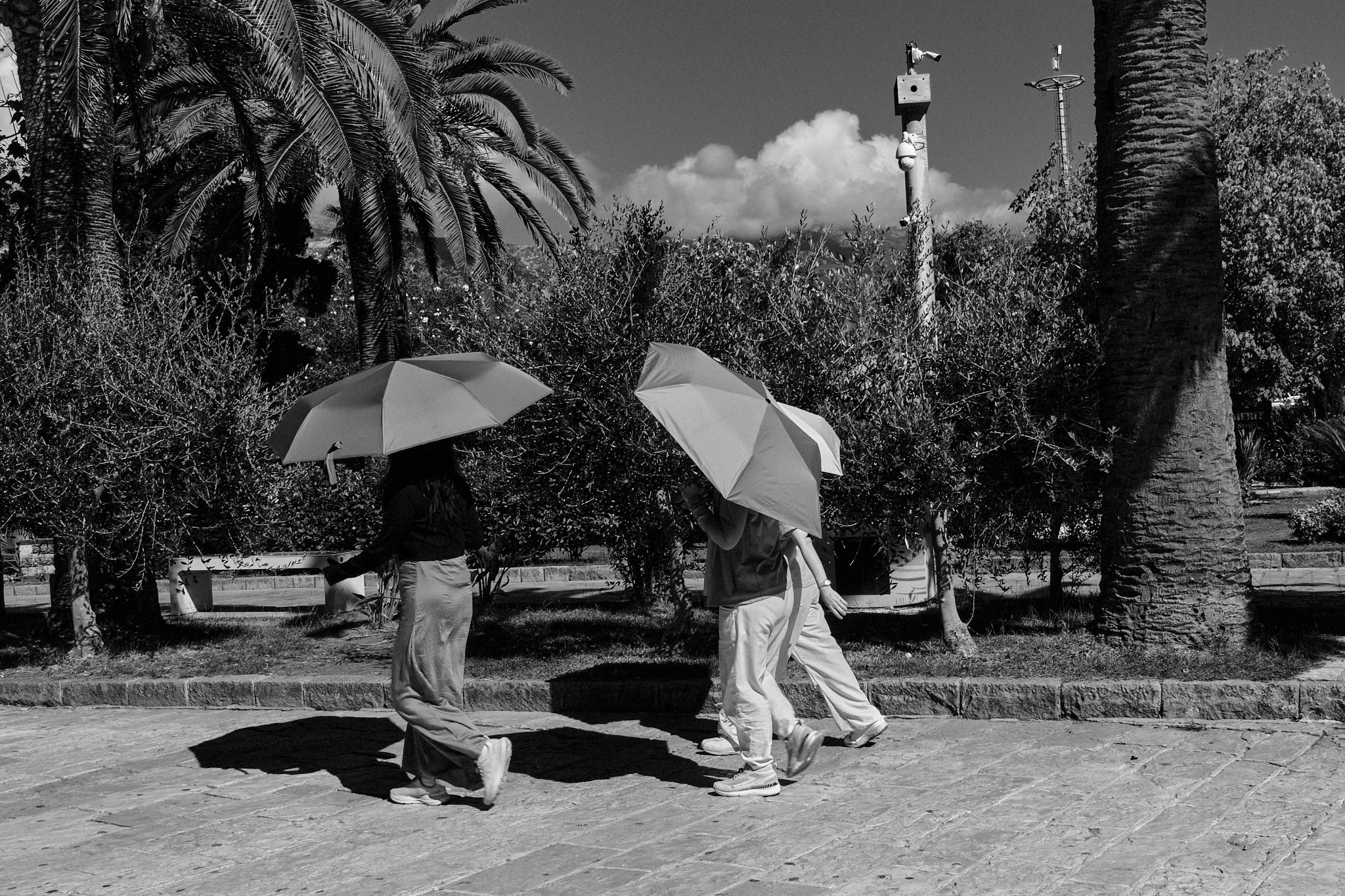 Фотосесія в Чорногорії. Артем. Портретний фотограф Альона Новгородцева