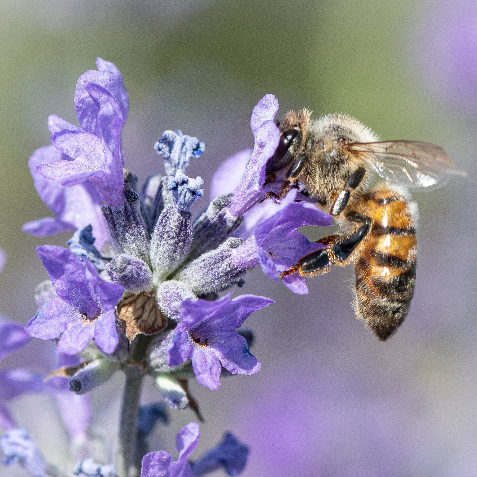 “Gianmaria Coscia fotografo per passione”