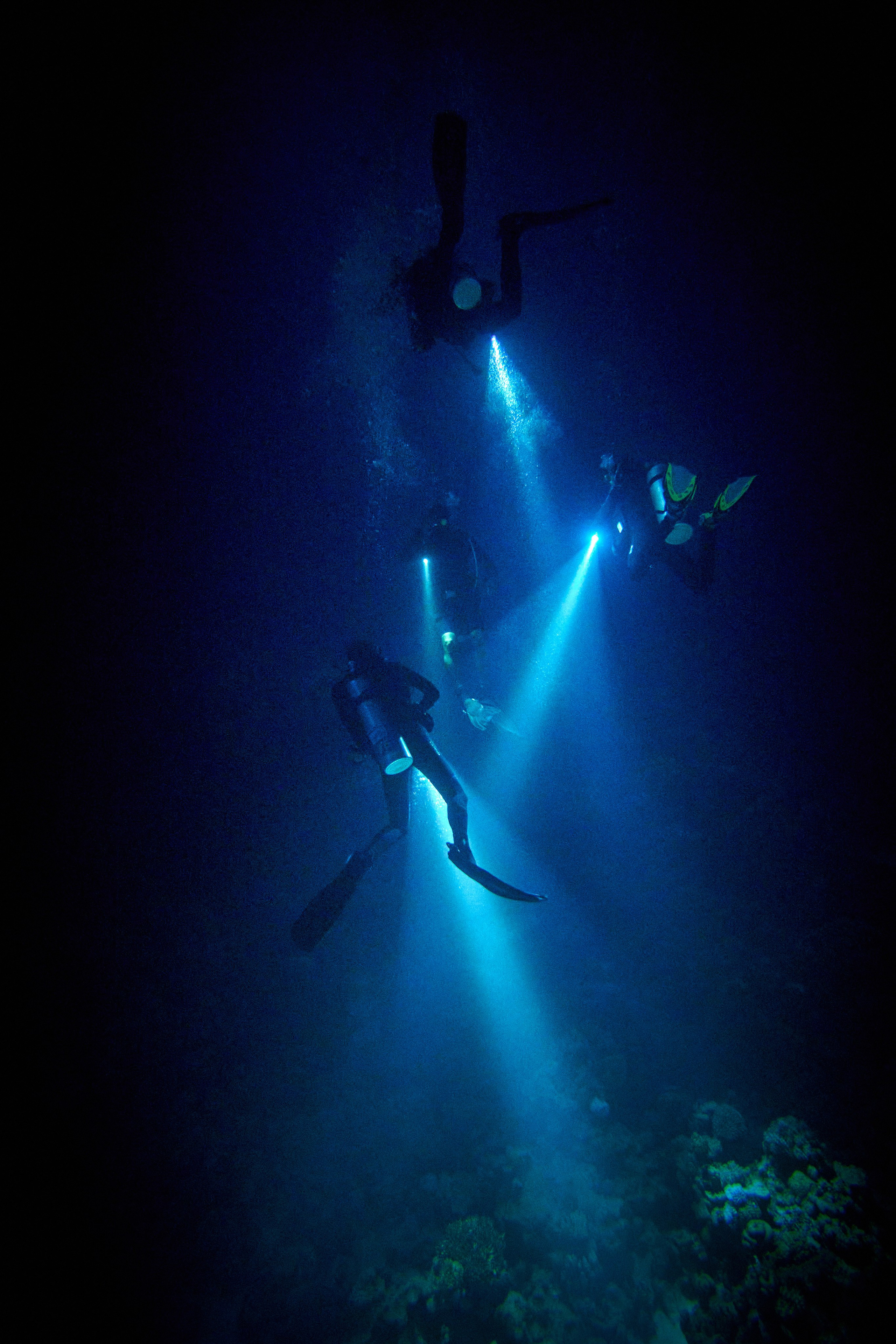 2023-11 - Diving Safari Deep South Egypt. Andriej Szypilow — Photography & Videography