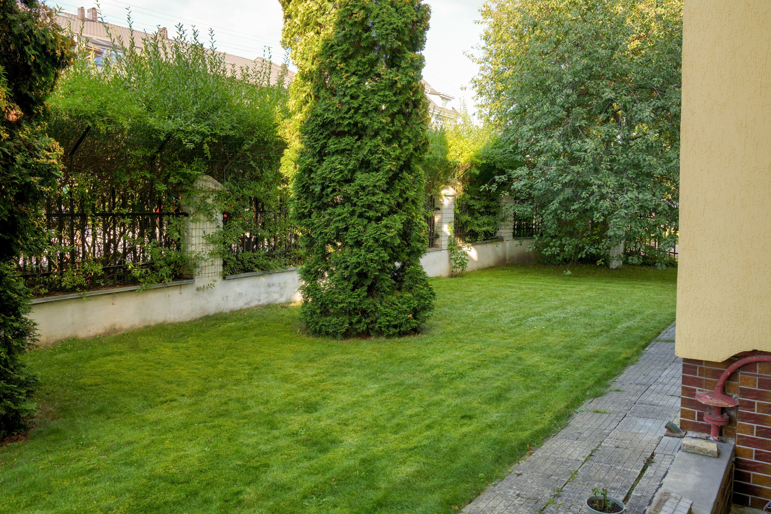 Sūduvių 16, Buivydiškės. Elina Sapiega fotografė Vilniuje