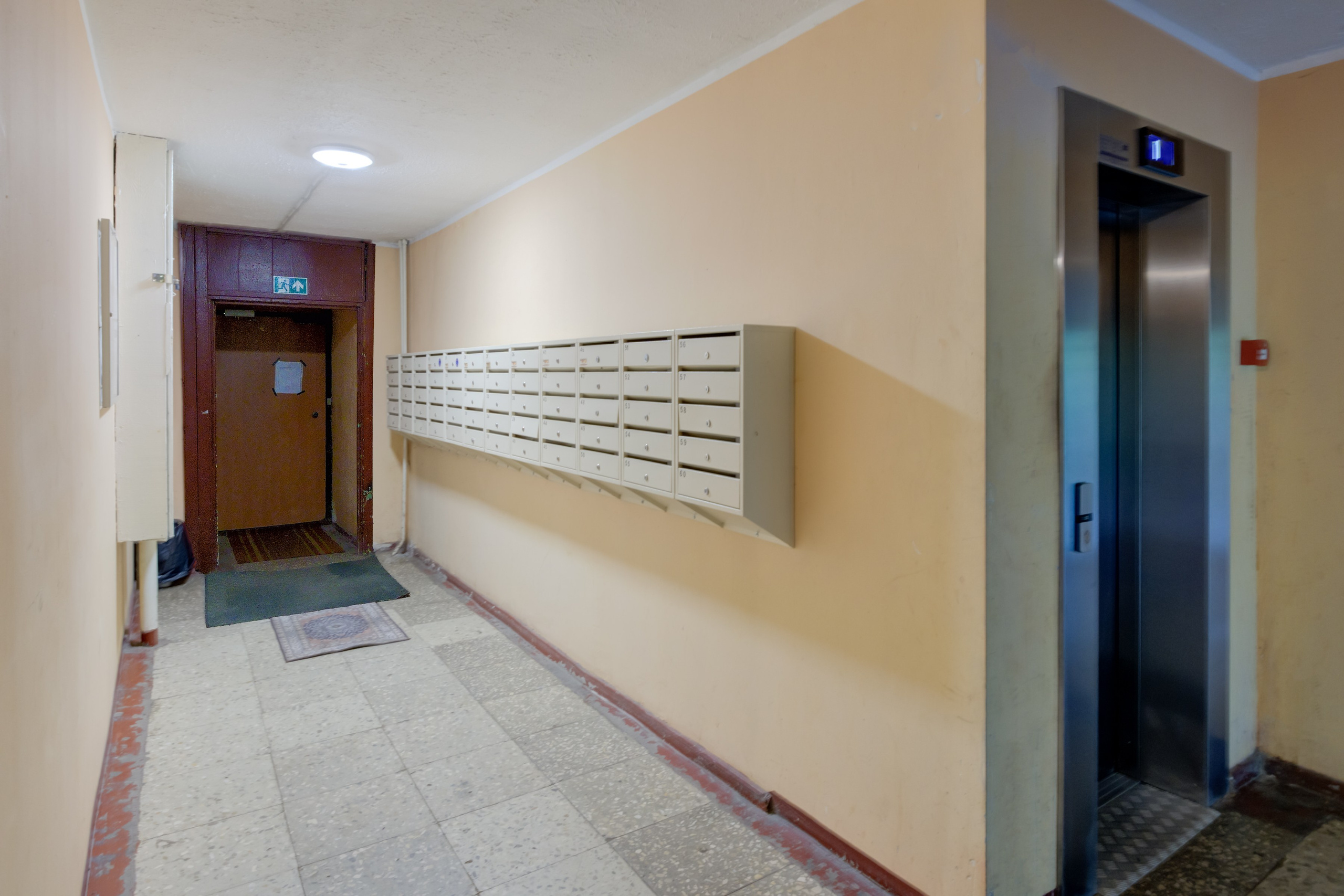 Viršuliškių g. 29. Elina Sapiega fotografė Vilniuje