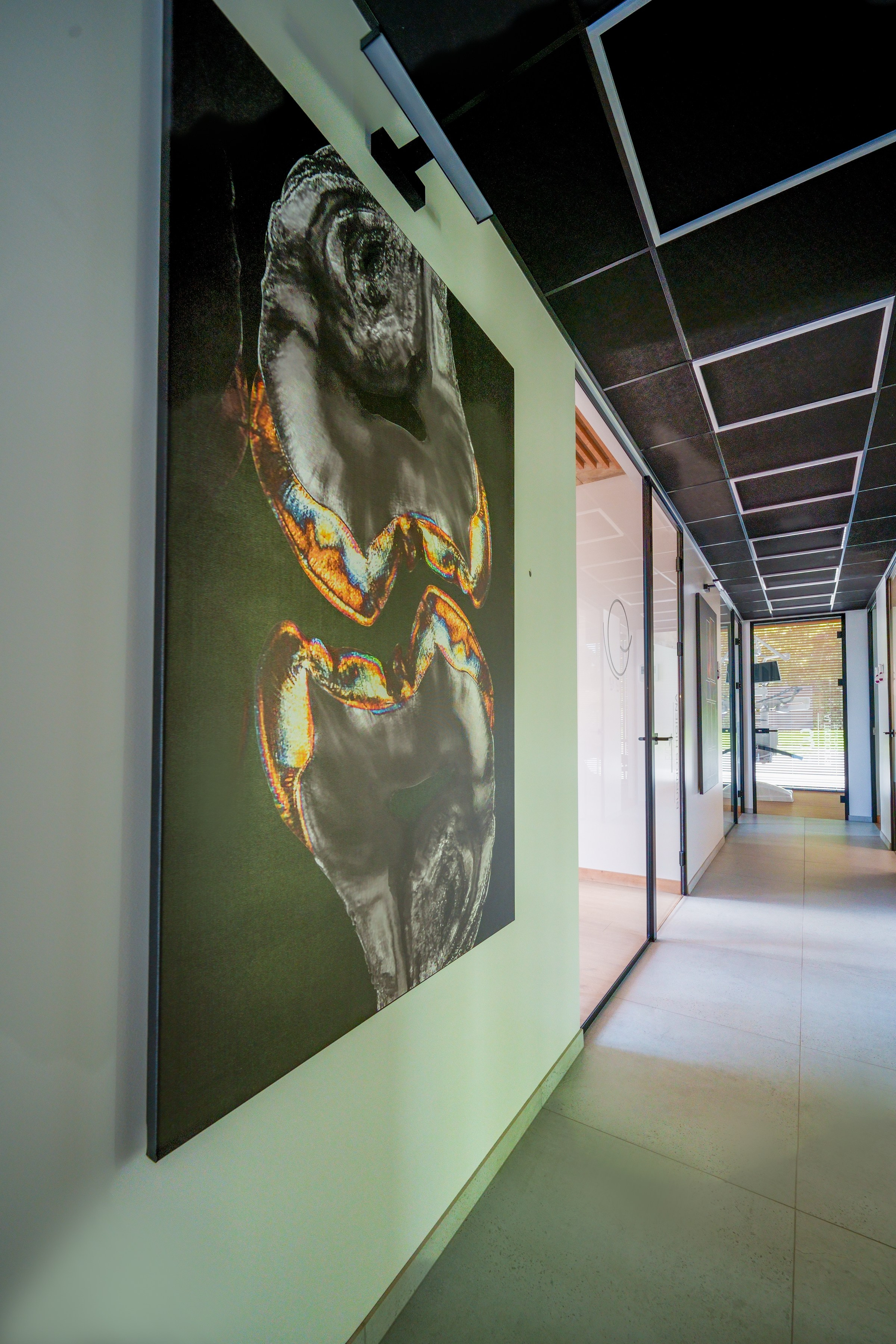 Žaliųjų ežerų g. 27. Elina Sapiega fotografė Vilniuje