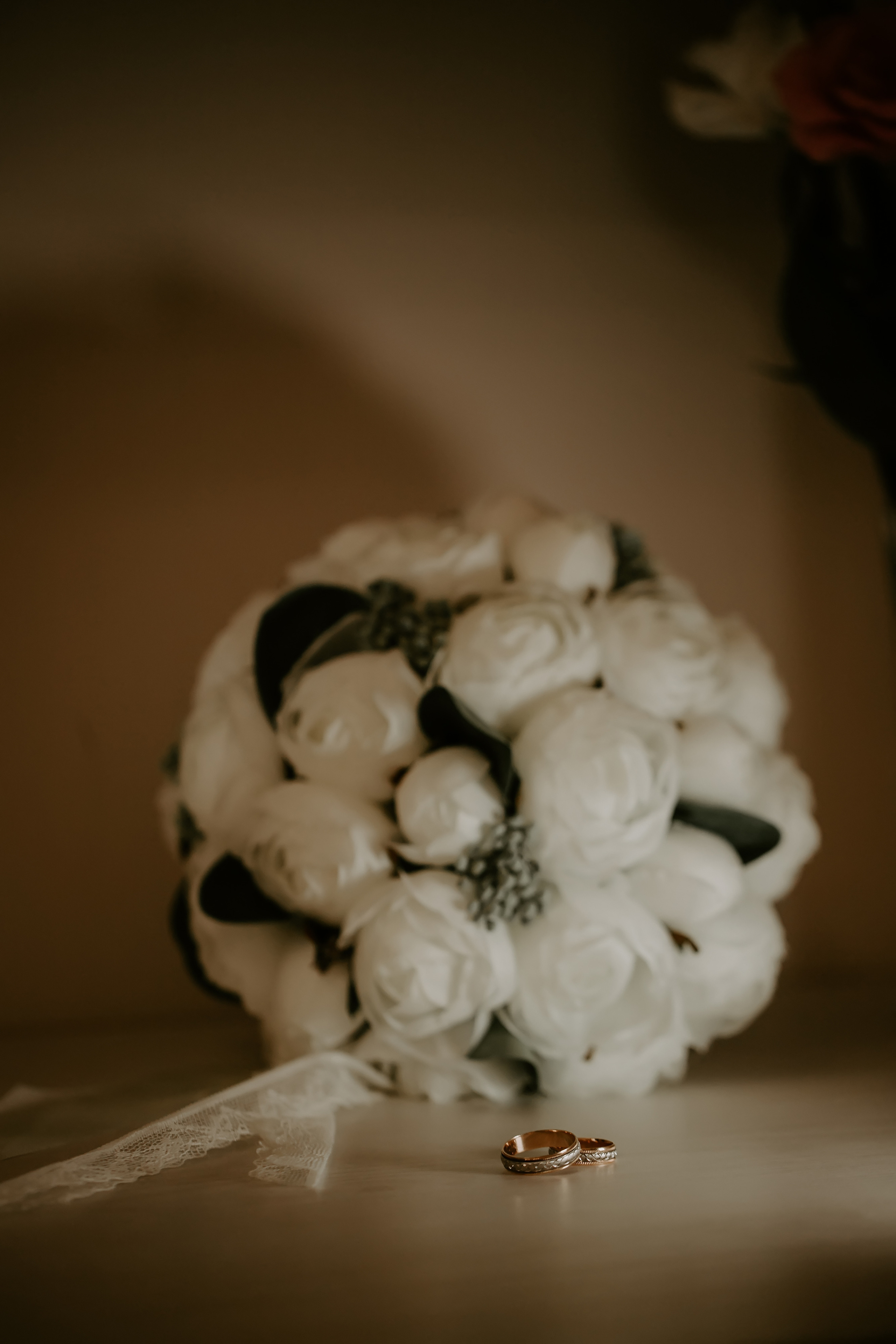 Vasile & Irina. ProWed — Foto Video Moldova și România