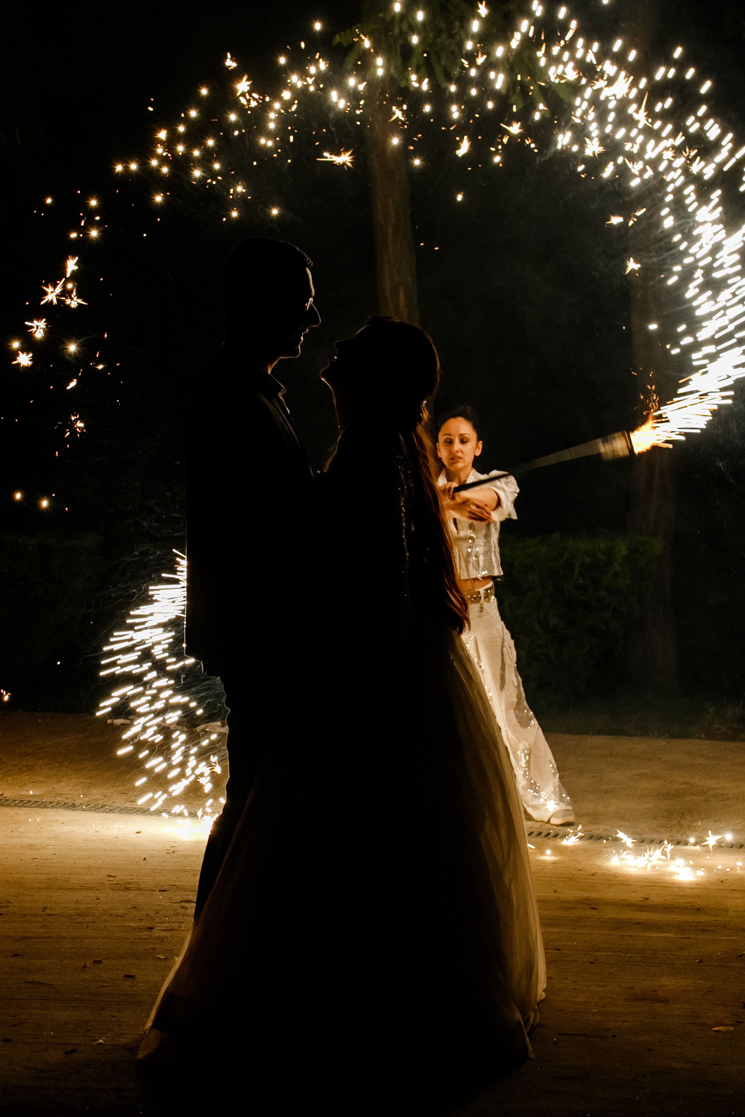 Viorel & Mariana. ProWed — Foto Video Moldova și România