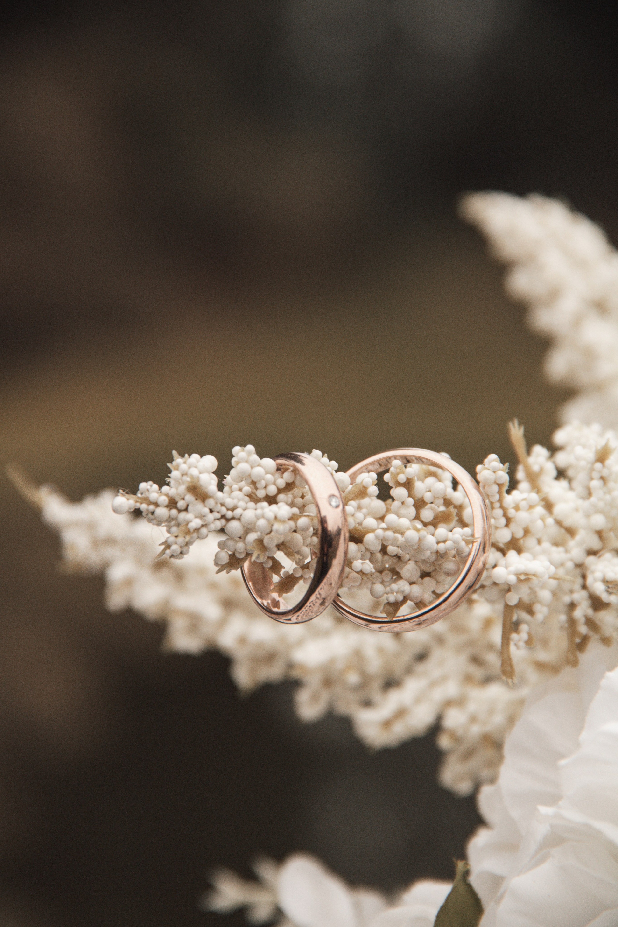 Fotogrāfe Ilze Vanuška