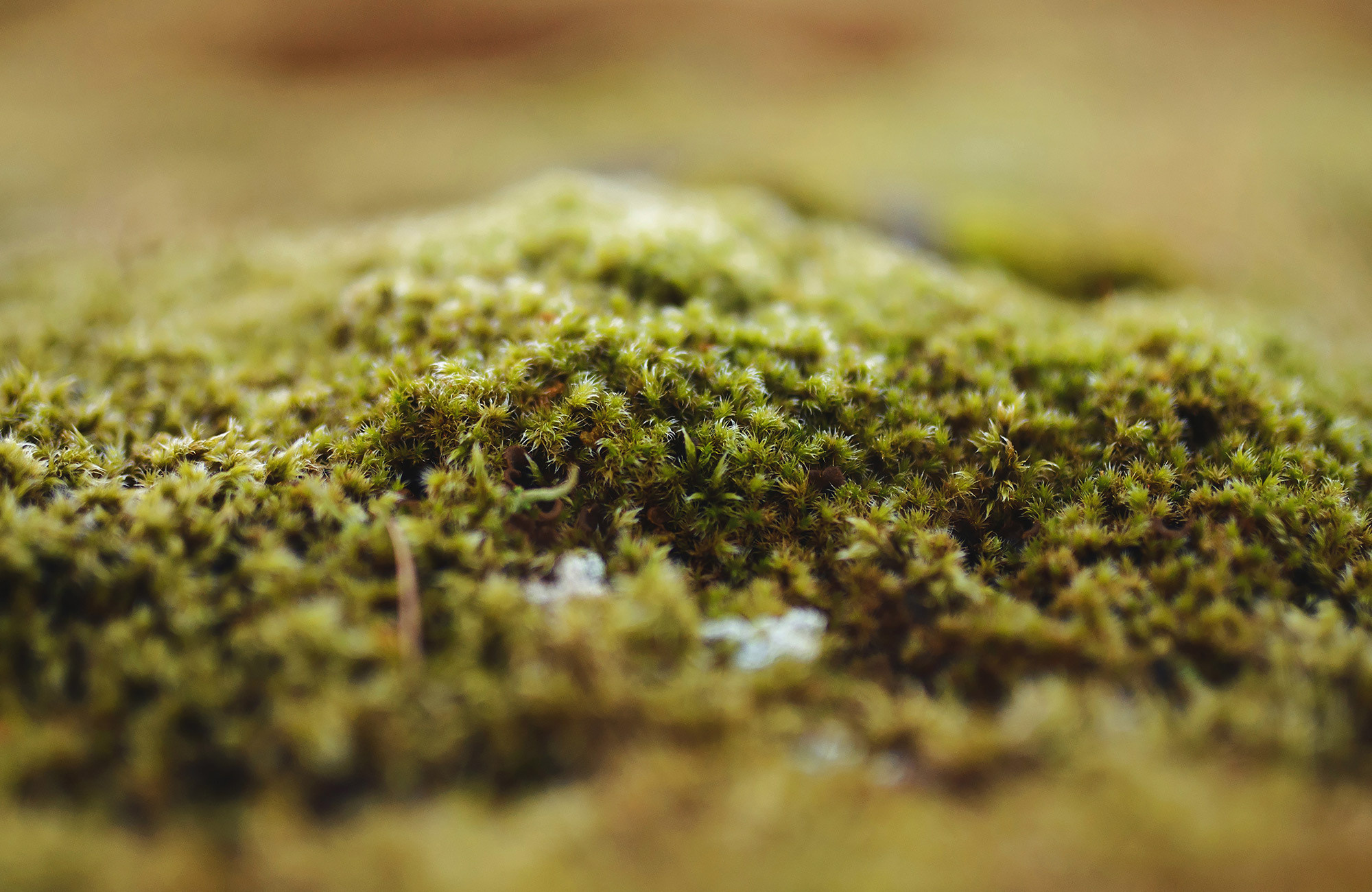 Iceland travel photographer Andrei Zveaghintev