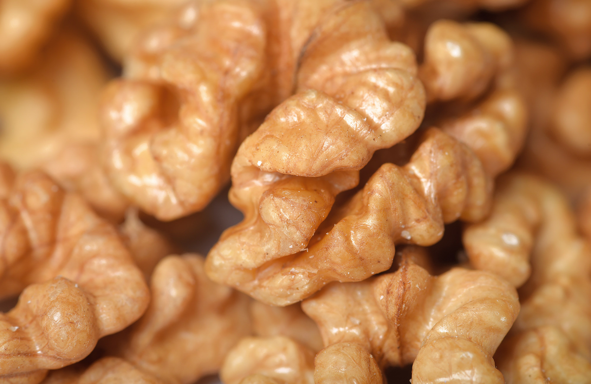 Product waltut photography in Dublin