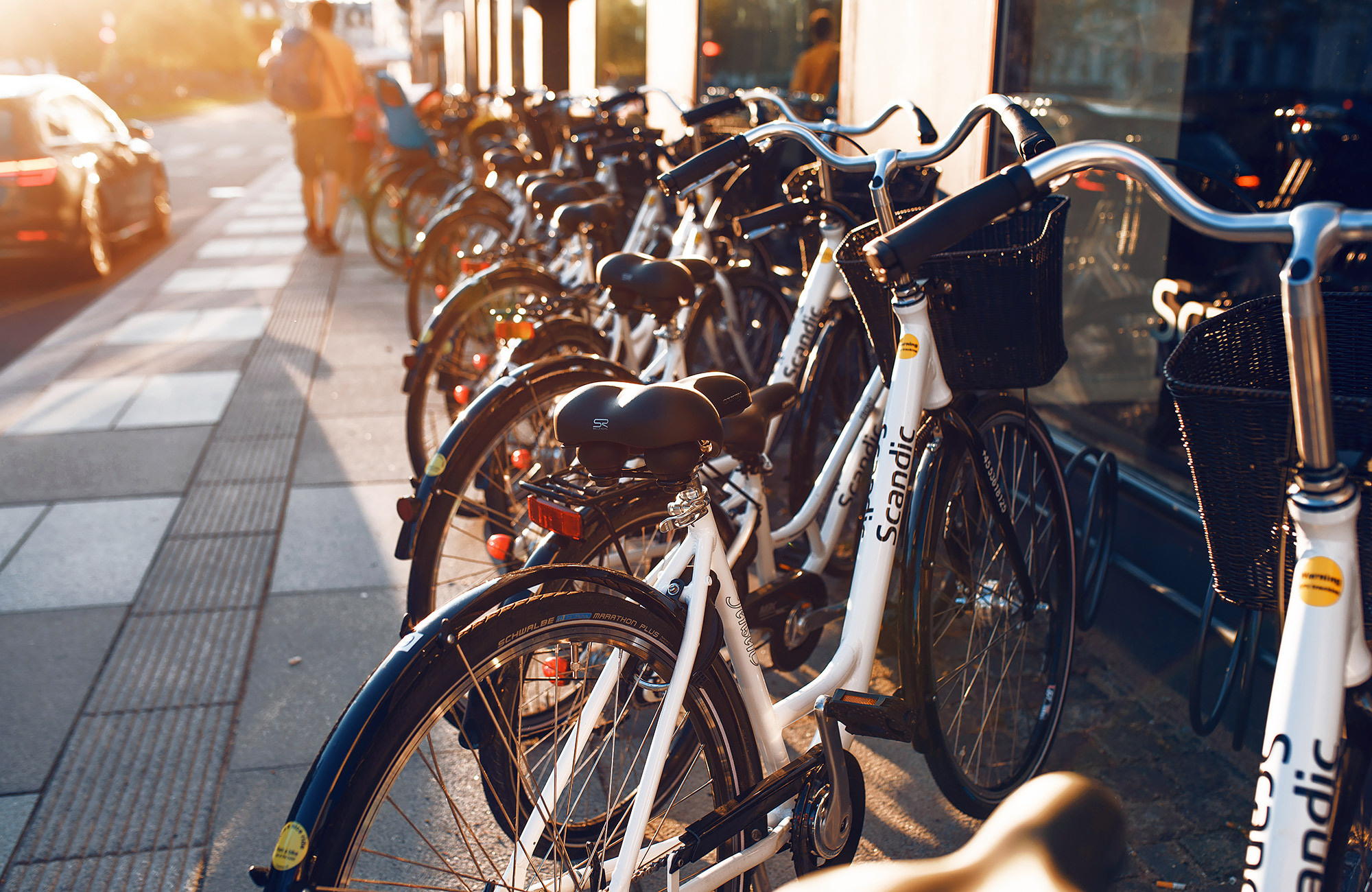 Фототур в Копенгаген — Андрей Звягинцев