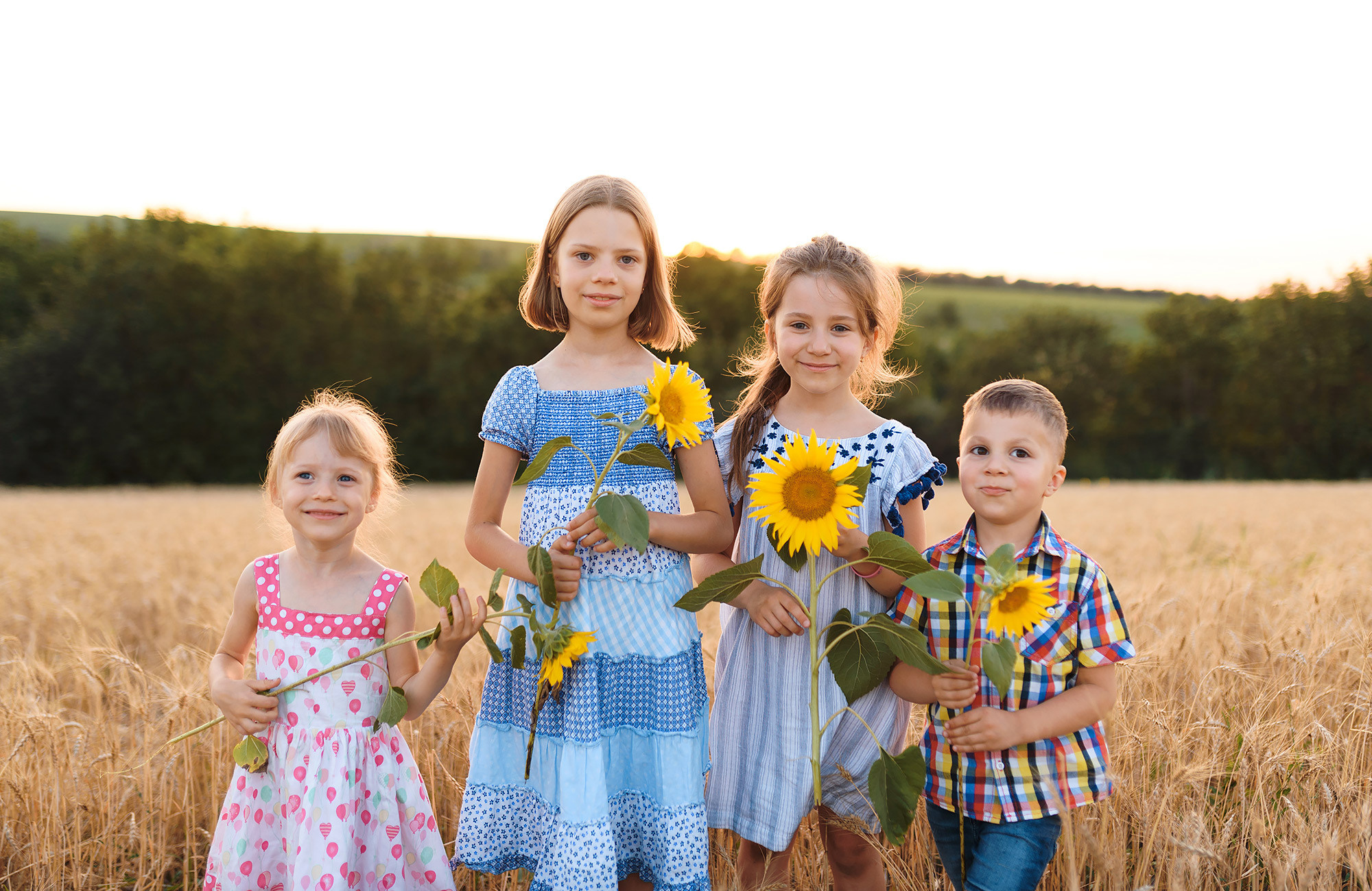 Family photography in wheat field — Andrei Zveaghintev