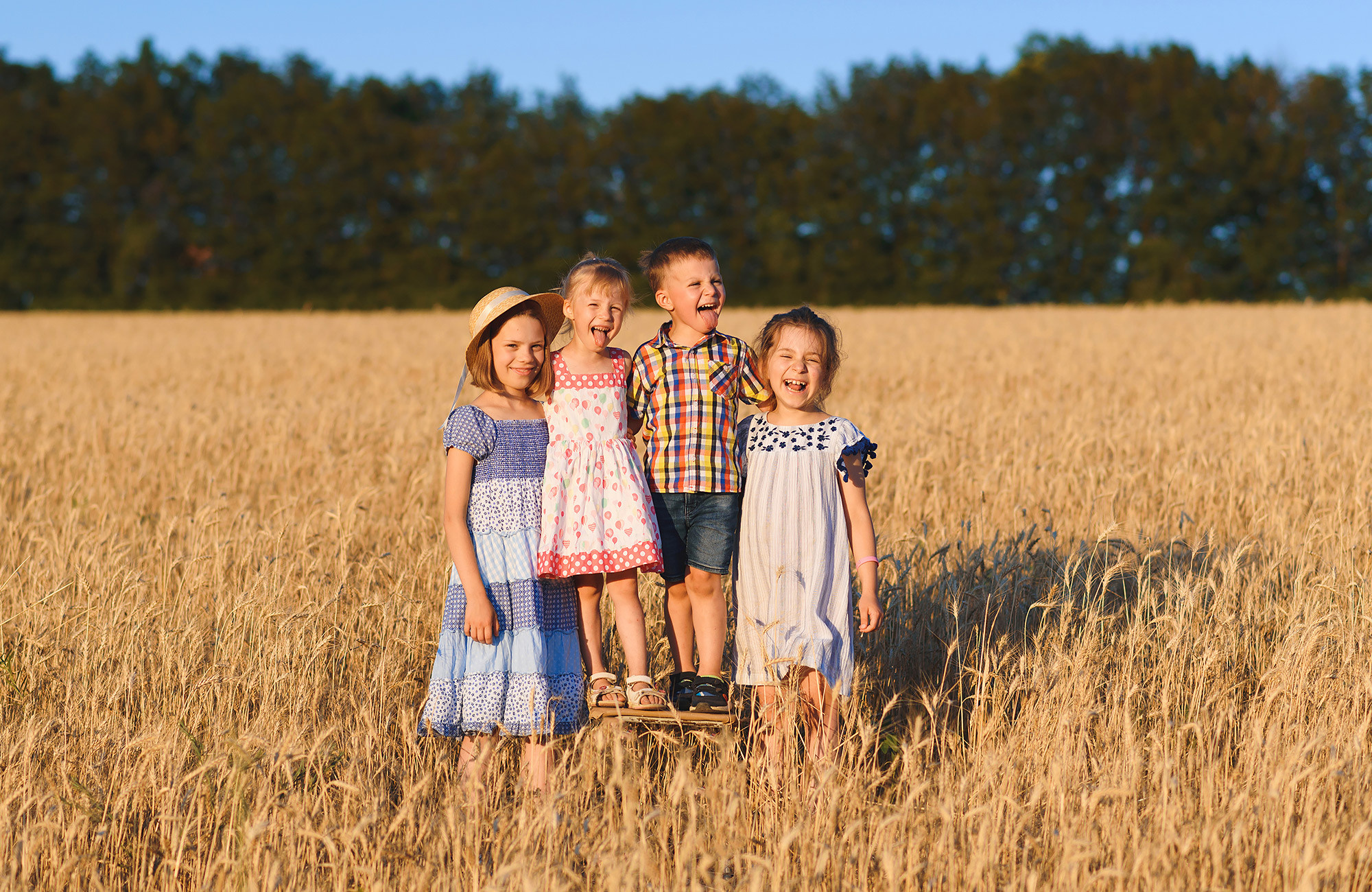 Family photography in wheat field — Andrei Zveaghintev