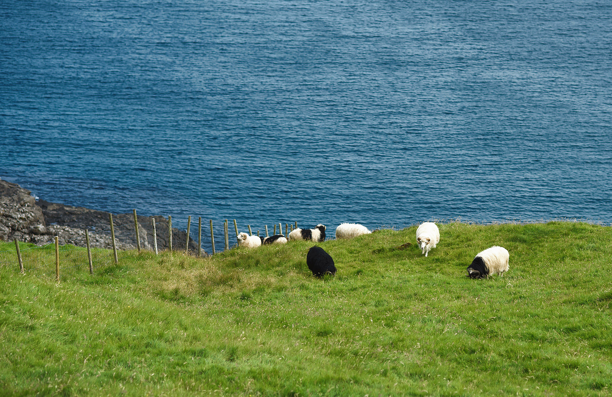 Фототур на Фарерские Острова — Андрей Звягинцев