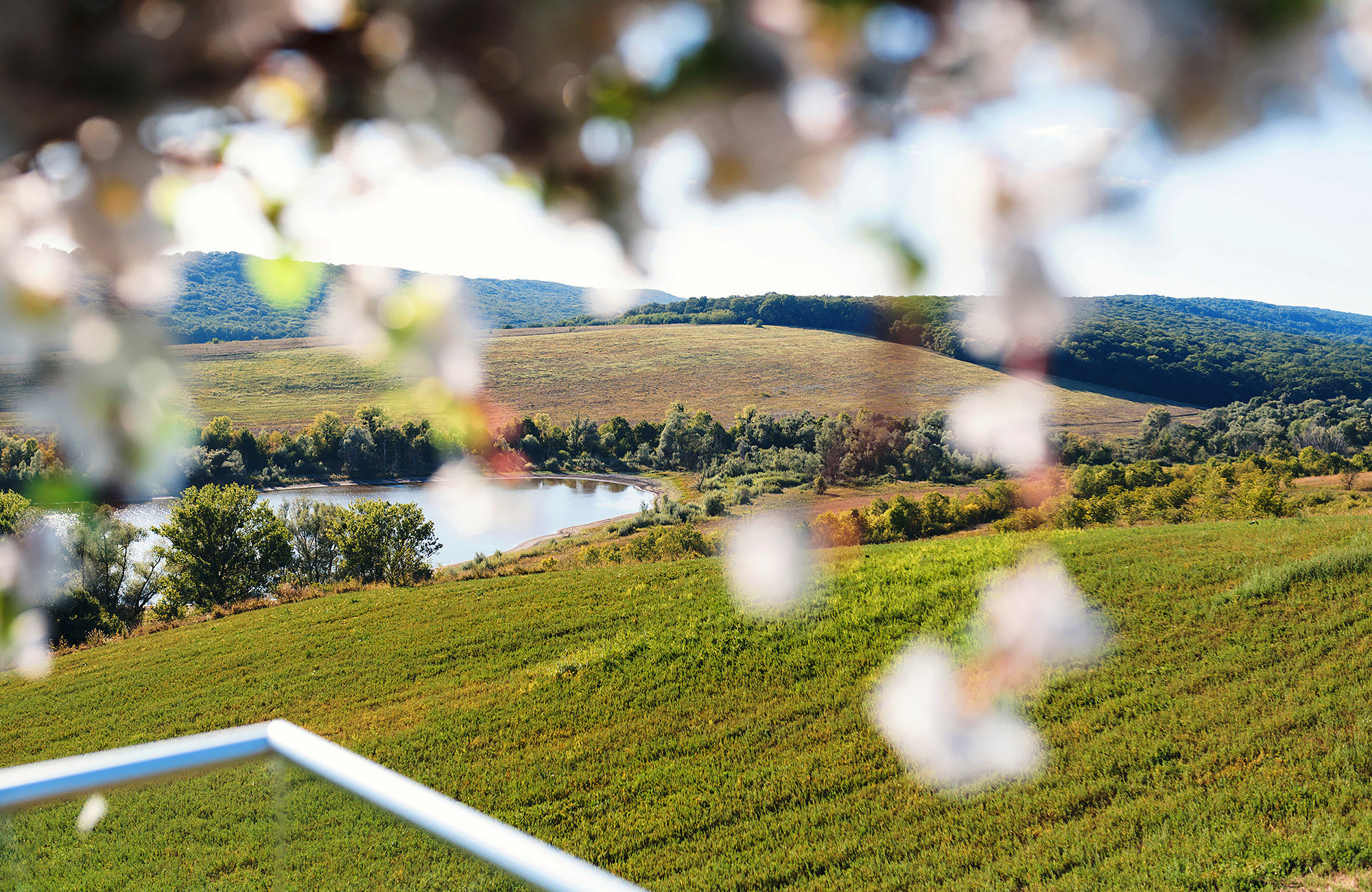 Wedding photography in Moldova