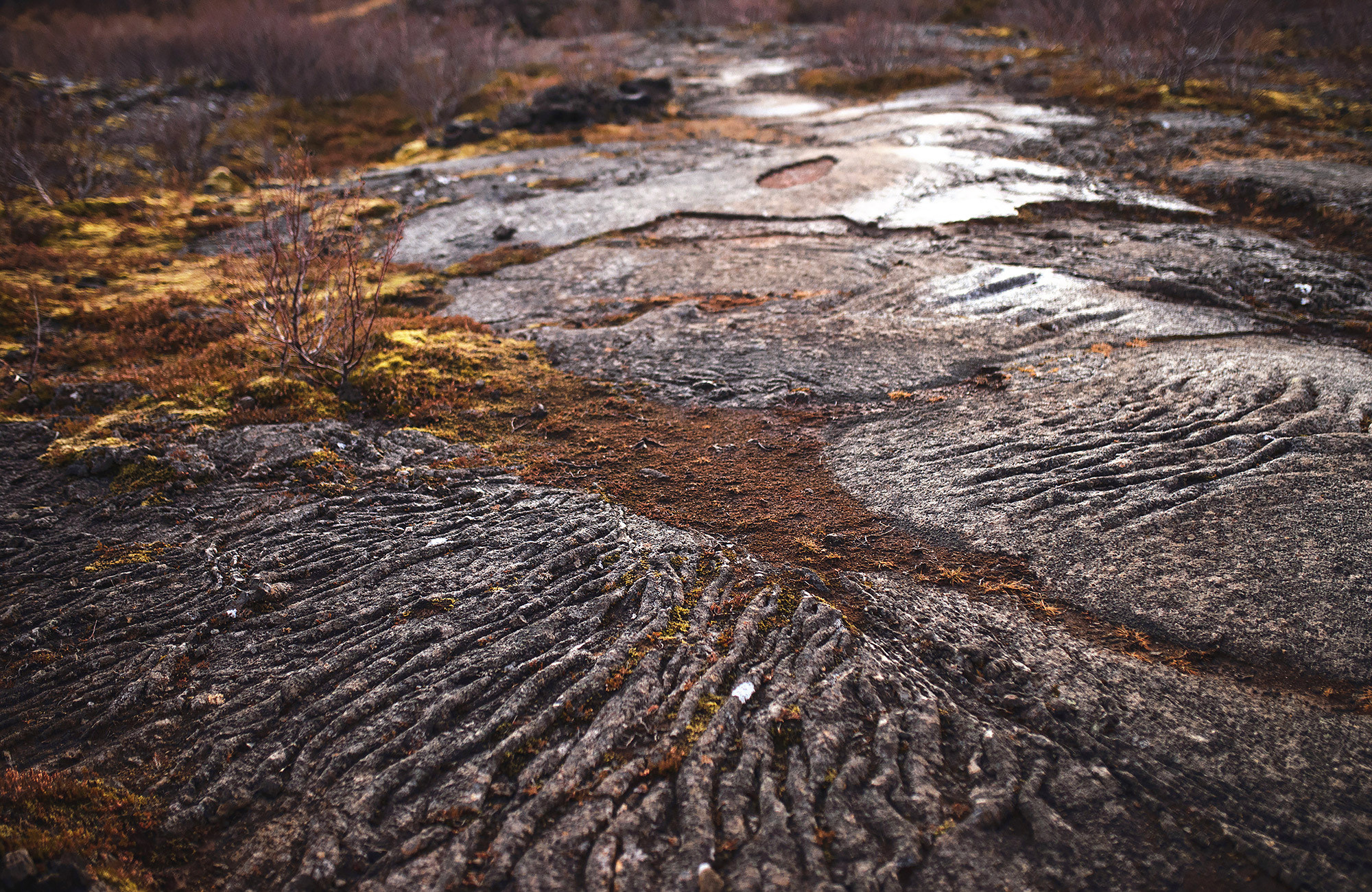 Iceland travel photographer Andrei Zveaghintev