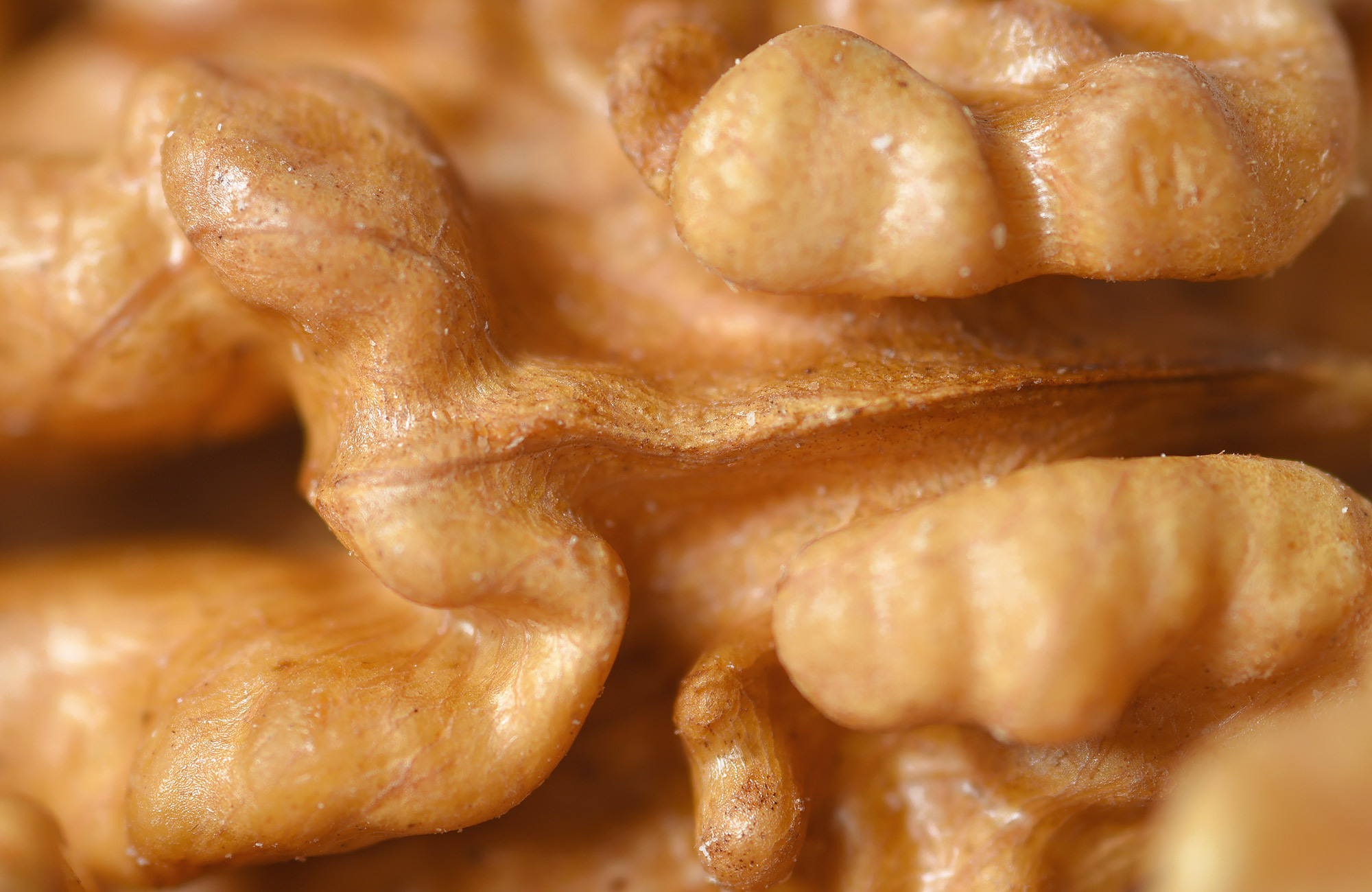 Product waltut photography in Dublin