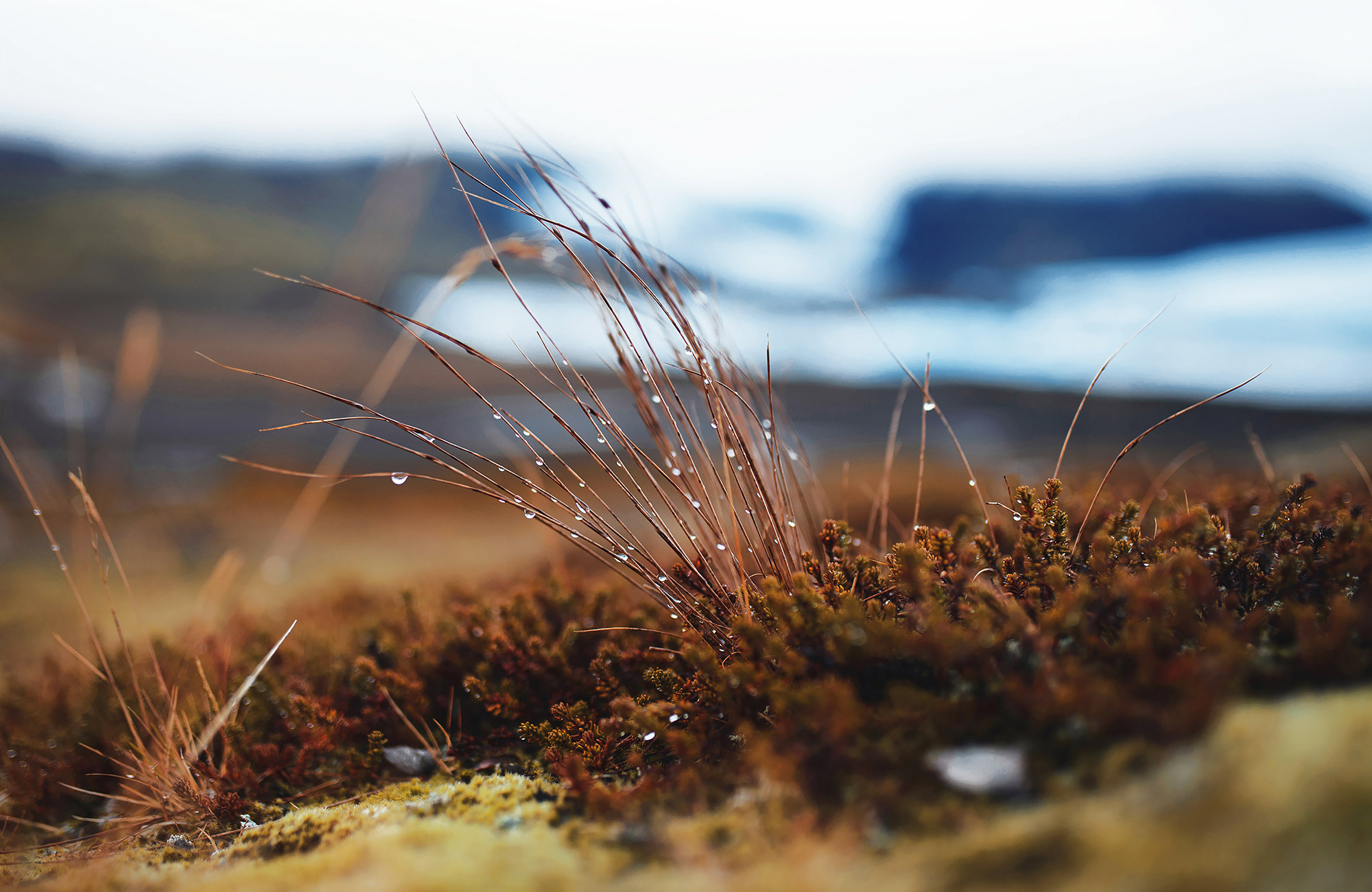 Iceland travel photographer Andrei Zveaghintev