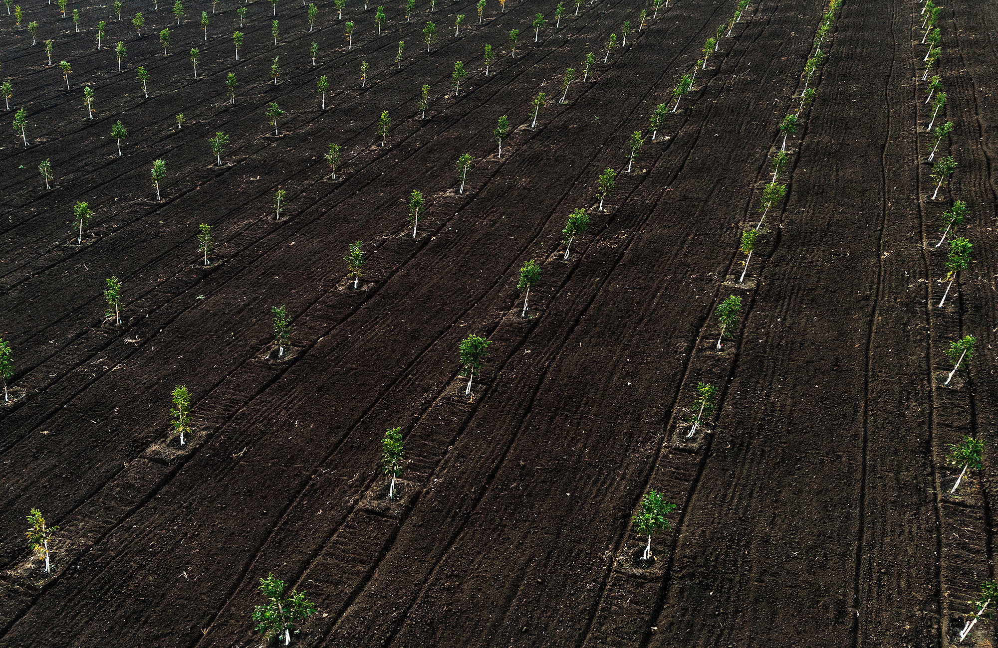 Пейзажная и рекламная фотосъемка в Дублине