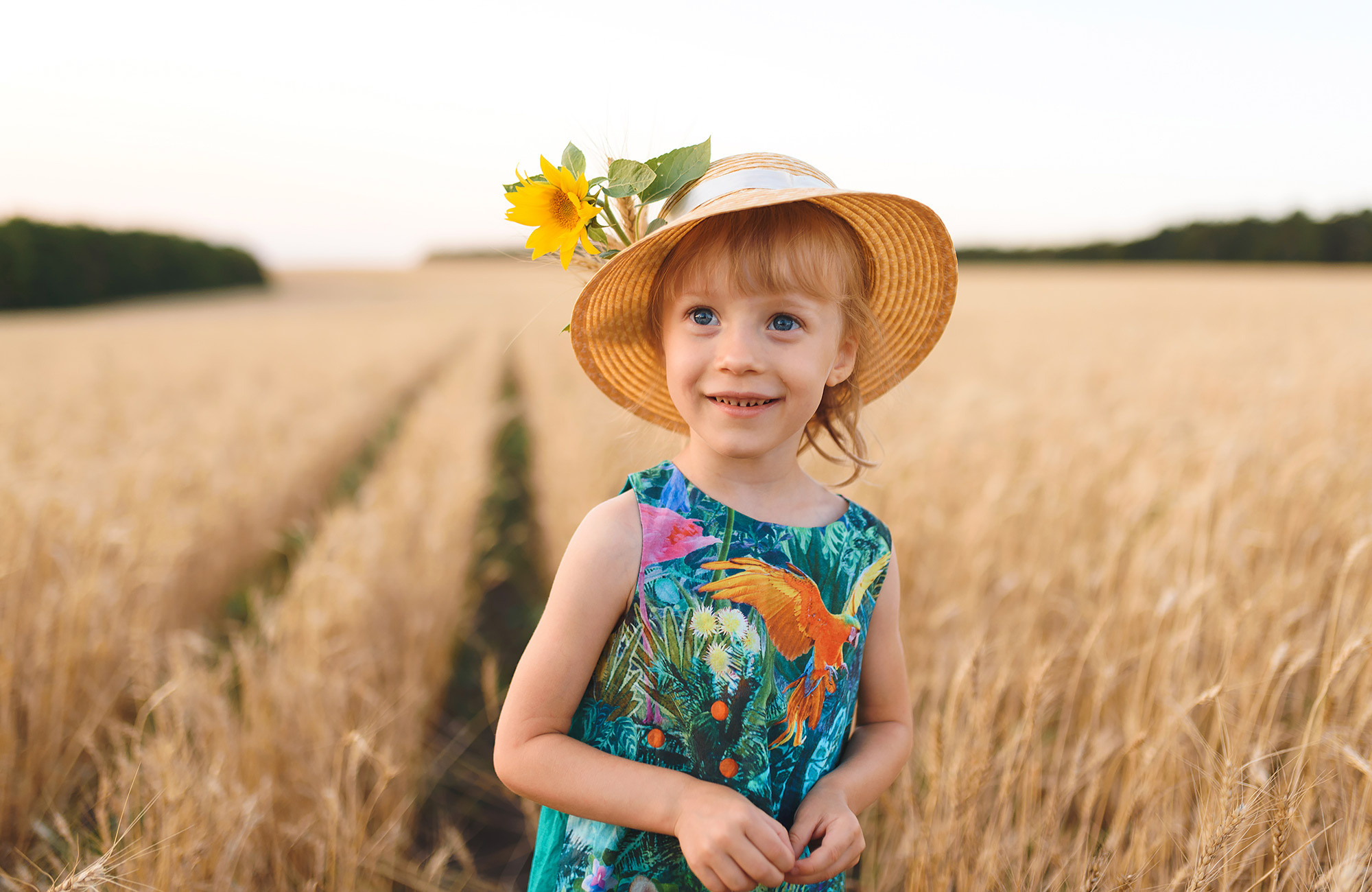 Family photography in wheat field — Andrei Zveaghintev
