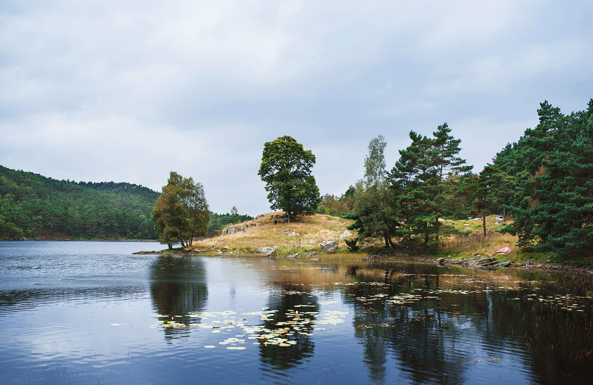 Путешествие в Норвегию с фотографом Андреем Звягинцевым