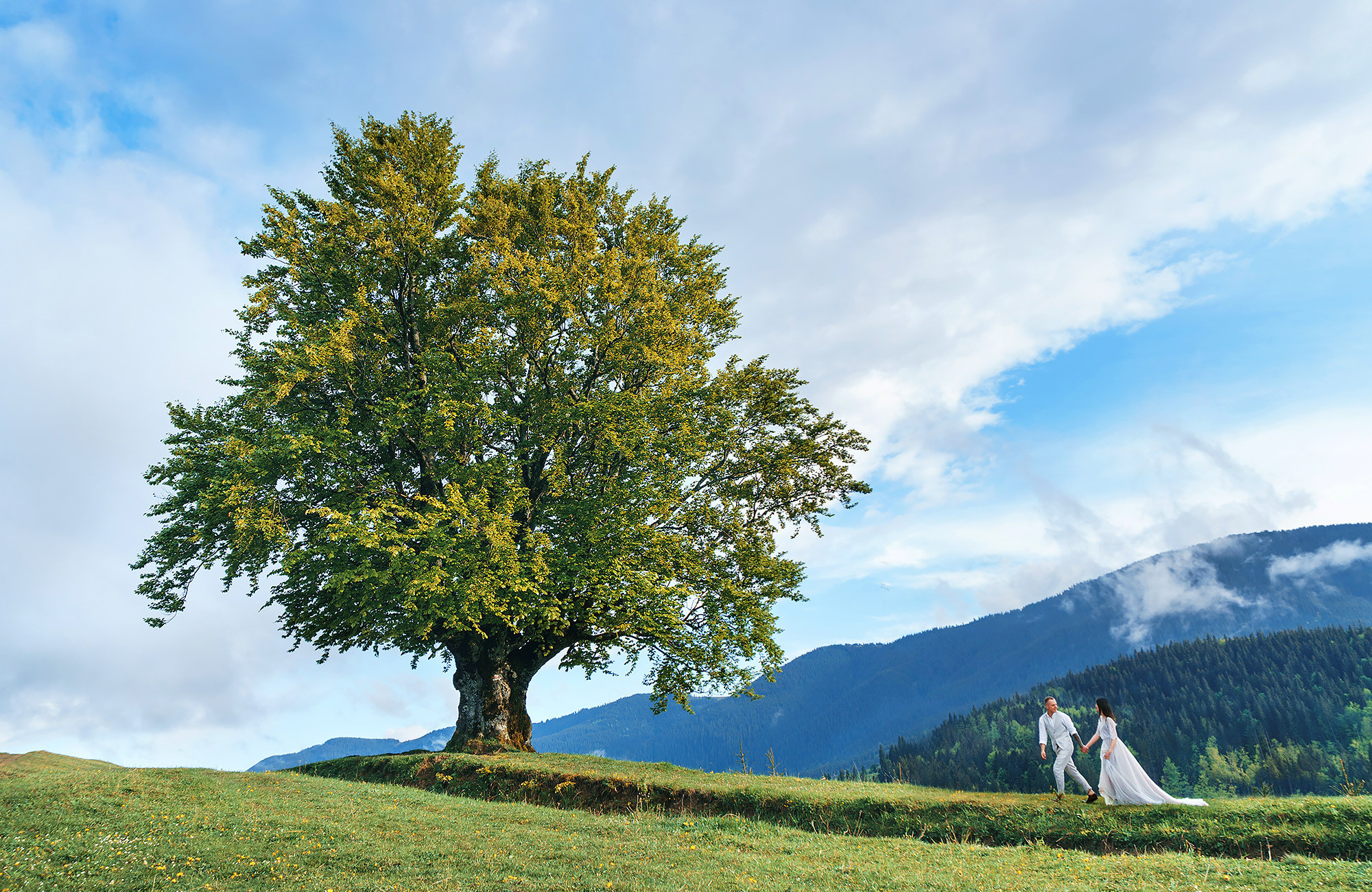 Фотосессия влюбленной пары в Ирландии