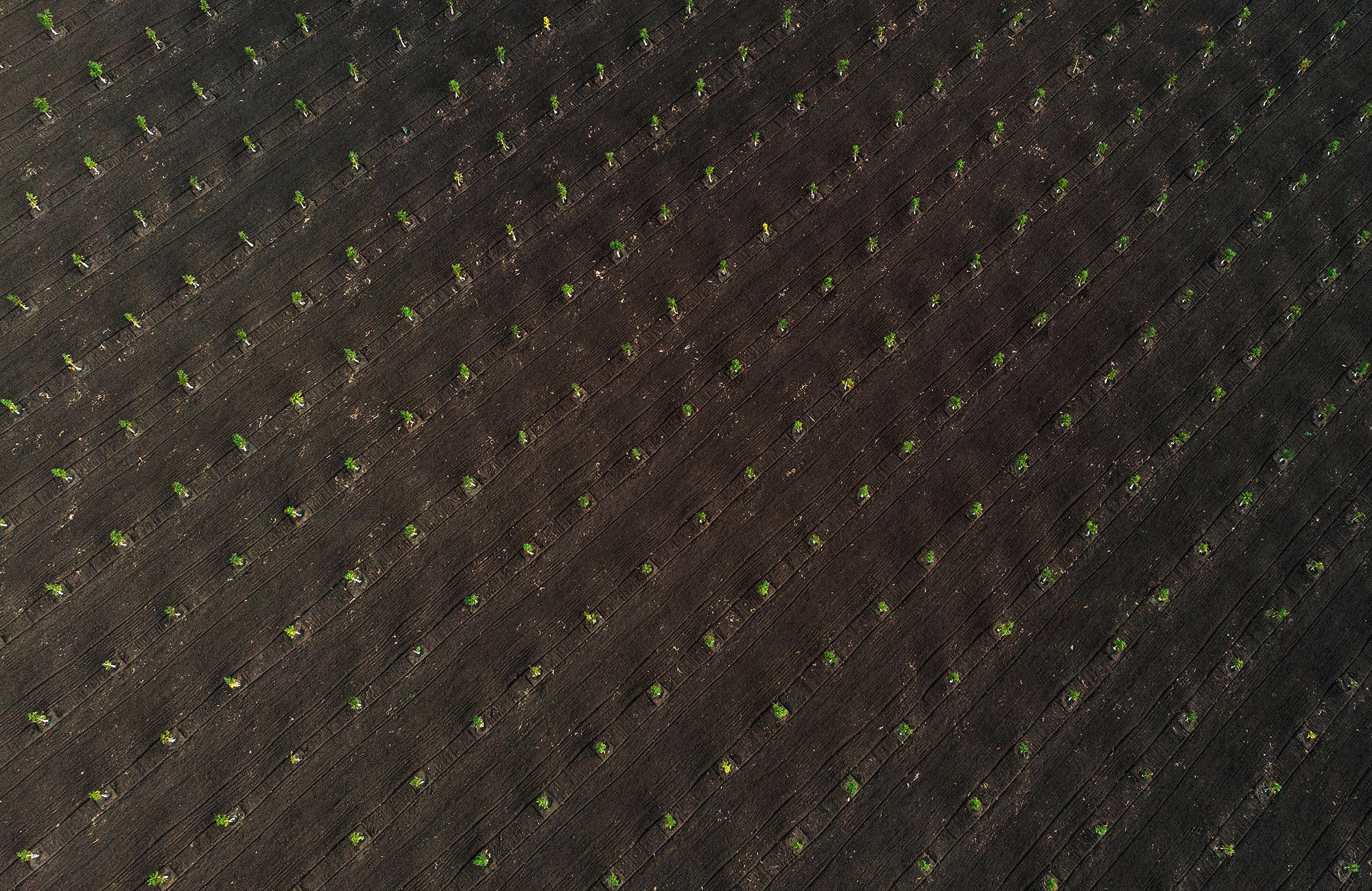 Пейзажная и рекламная фотосъемка в Дублине