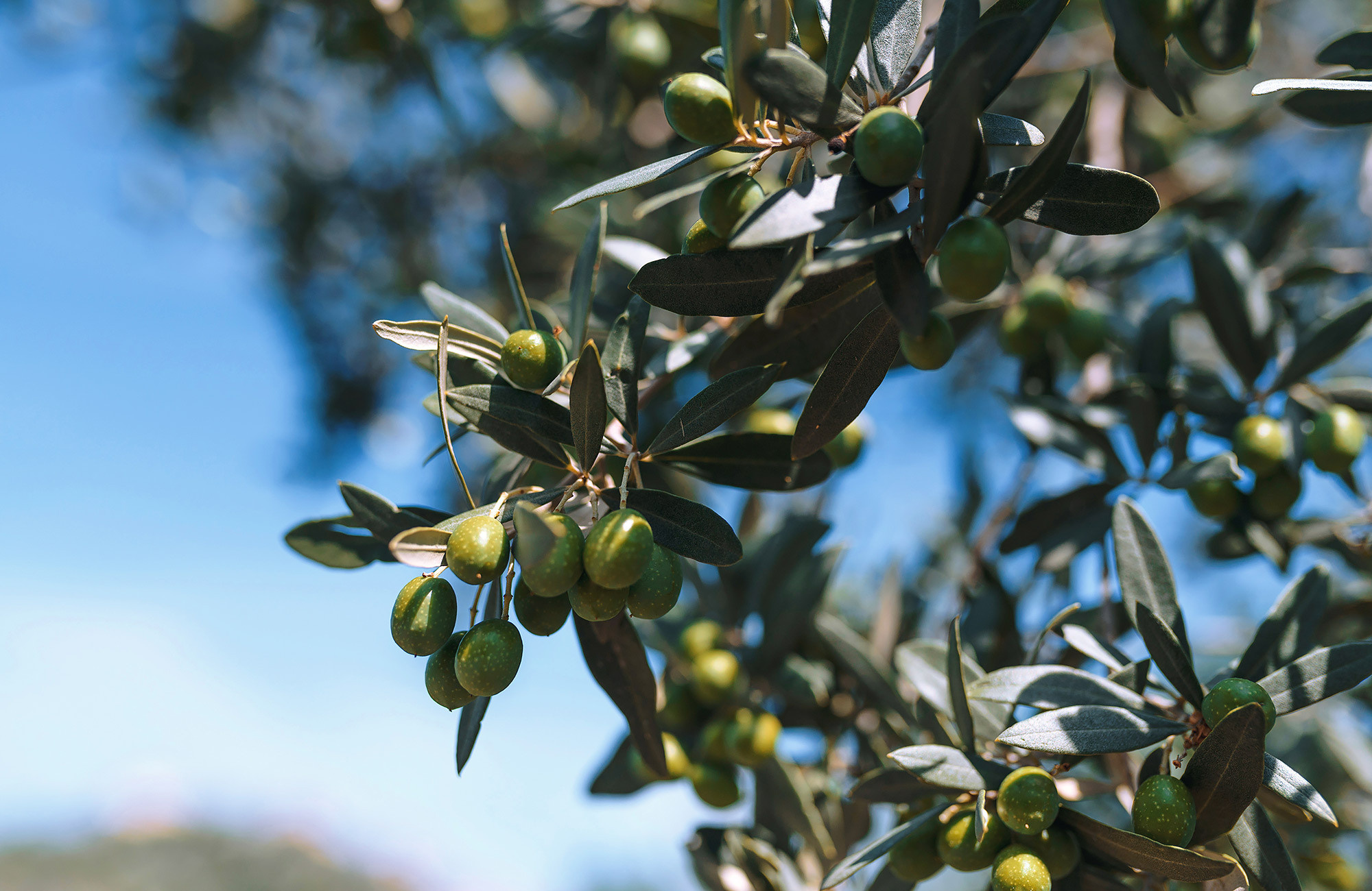 Italy travel photographer Andrei Zveaghintev