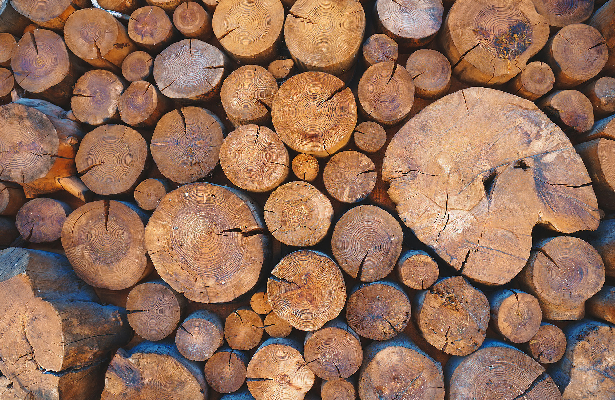 Фототур в Болгарию — Андрей Звягинцев