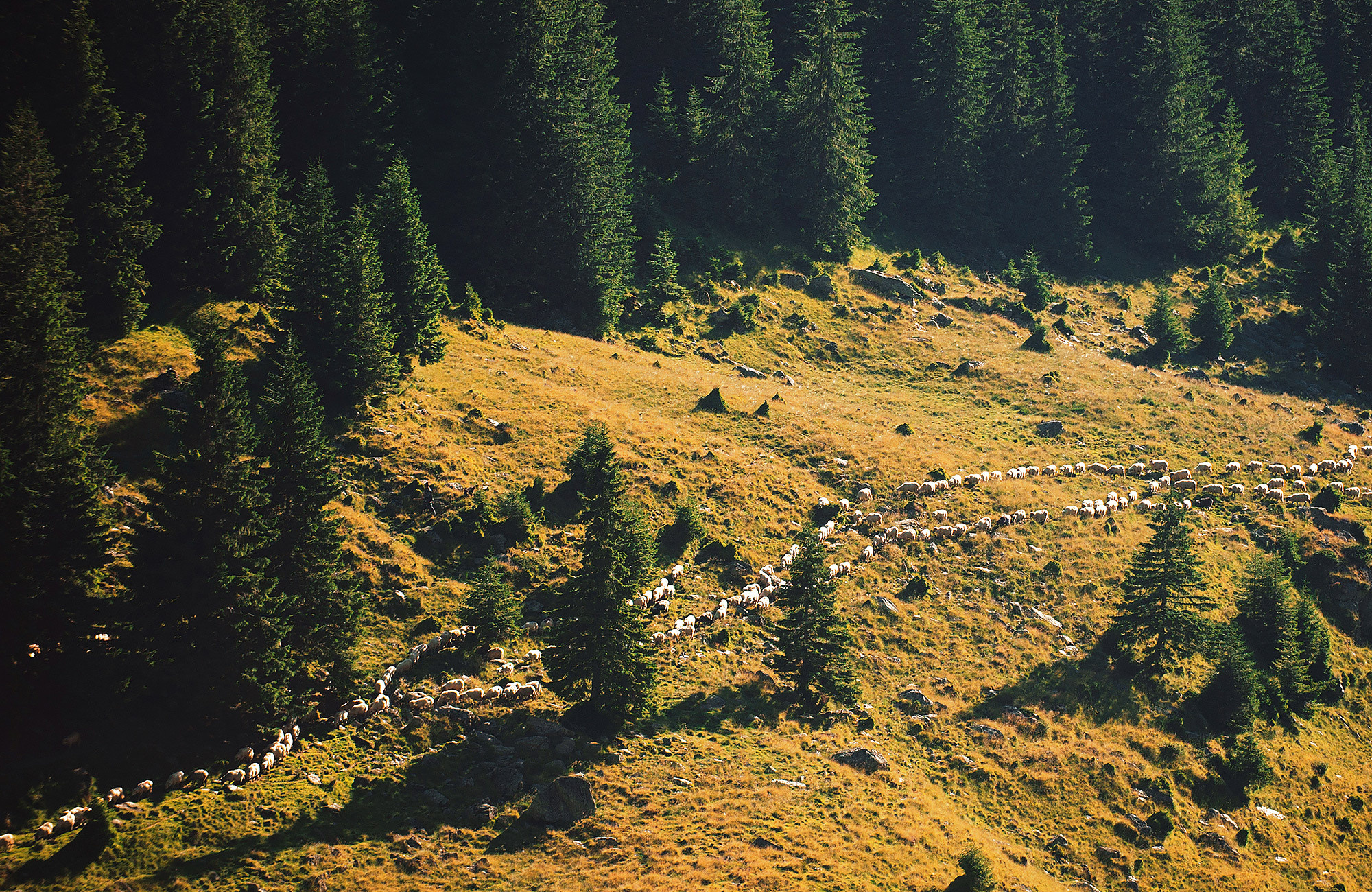 Путешествие в Румынию — фотограф Андрей Звягинцев