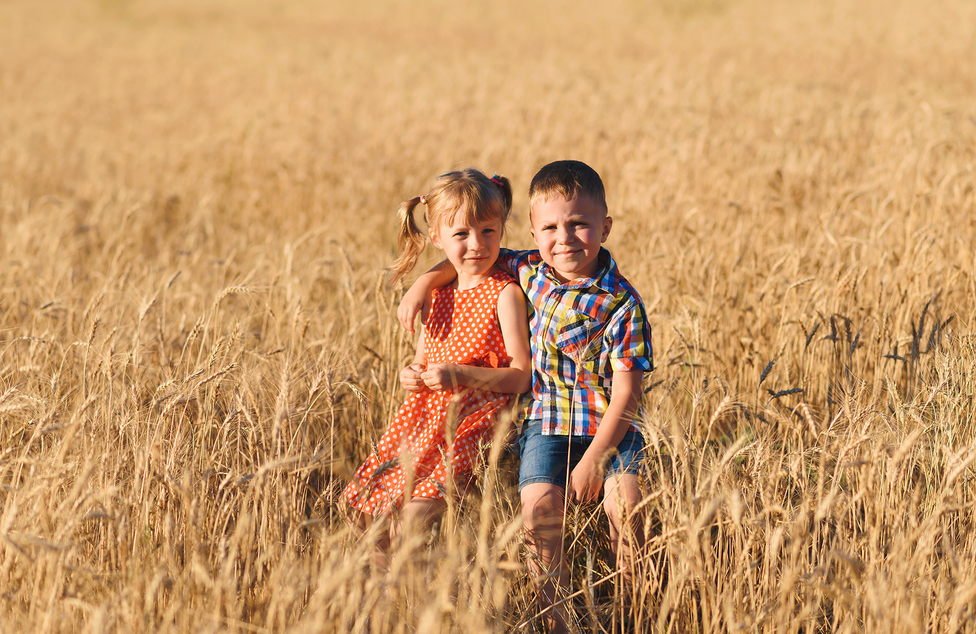 Family photography in wheat field — Andrei Zveaghintev