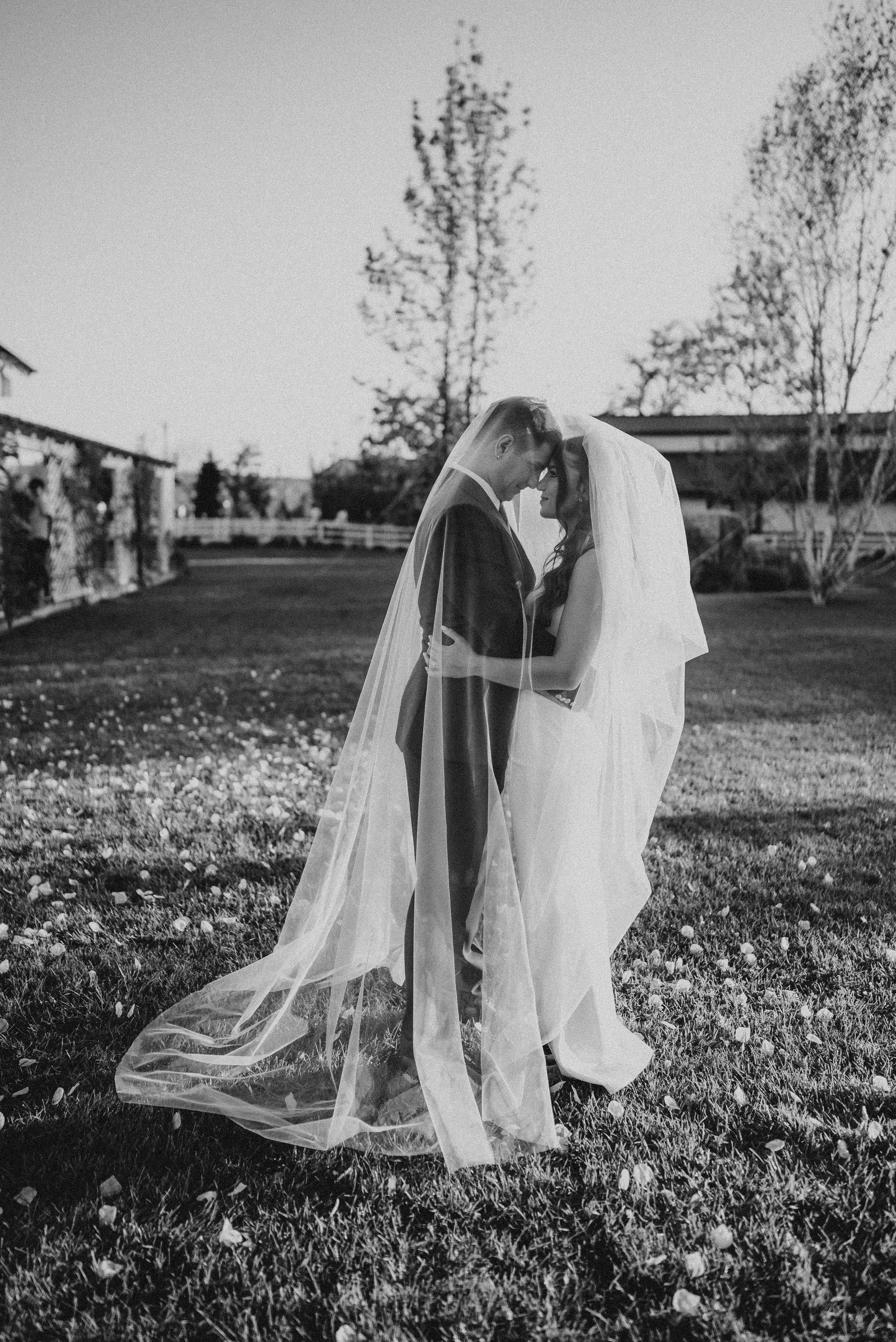 Andreea + Ciprian | Wedding day. Proud Vision Weddings | Wedding Photography & Film — Servicii profesionale Foto Video Nunta Iasi