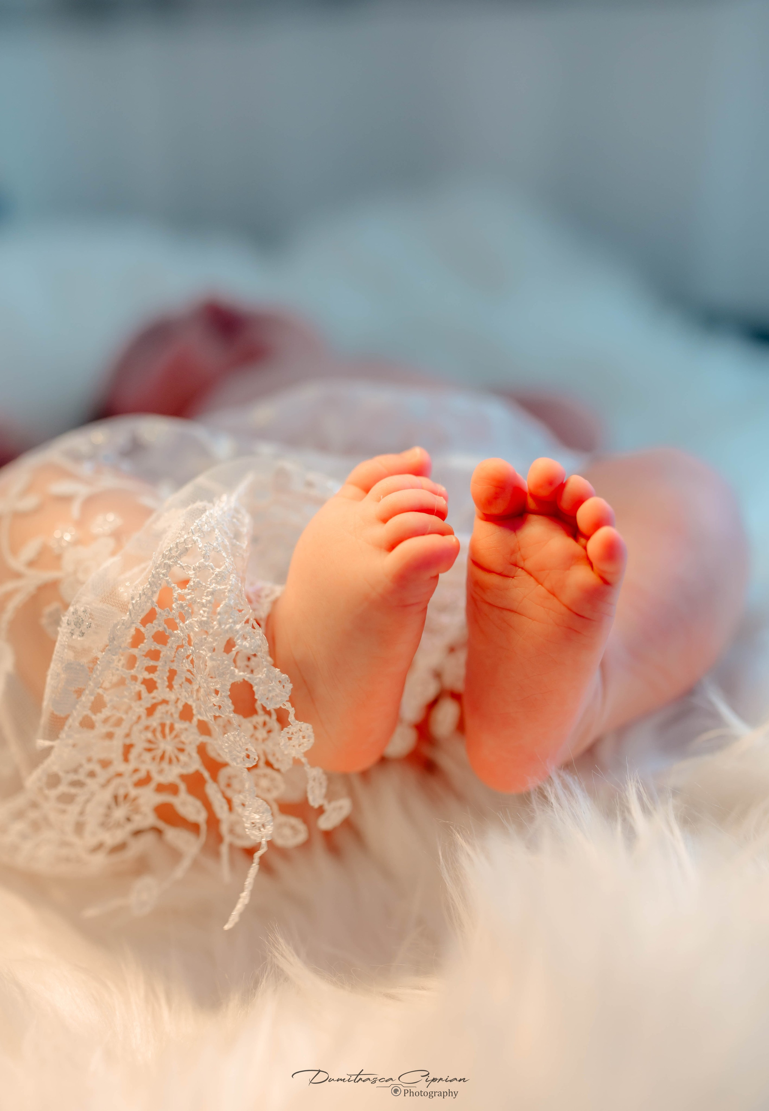 Cataleya Maria. Dumitrasca Ciprian Photography