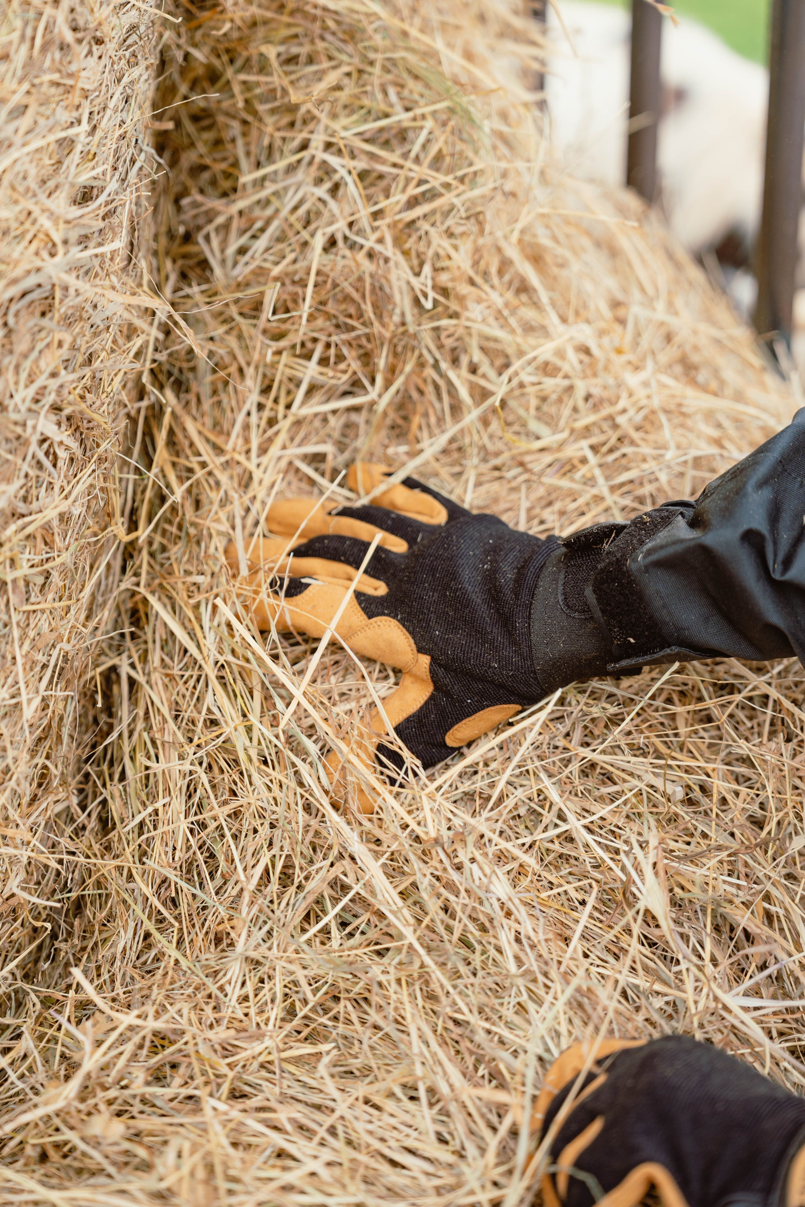 Solidur. Weeding photographer / event / portrait