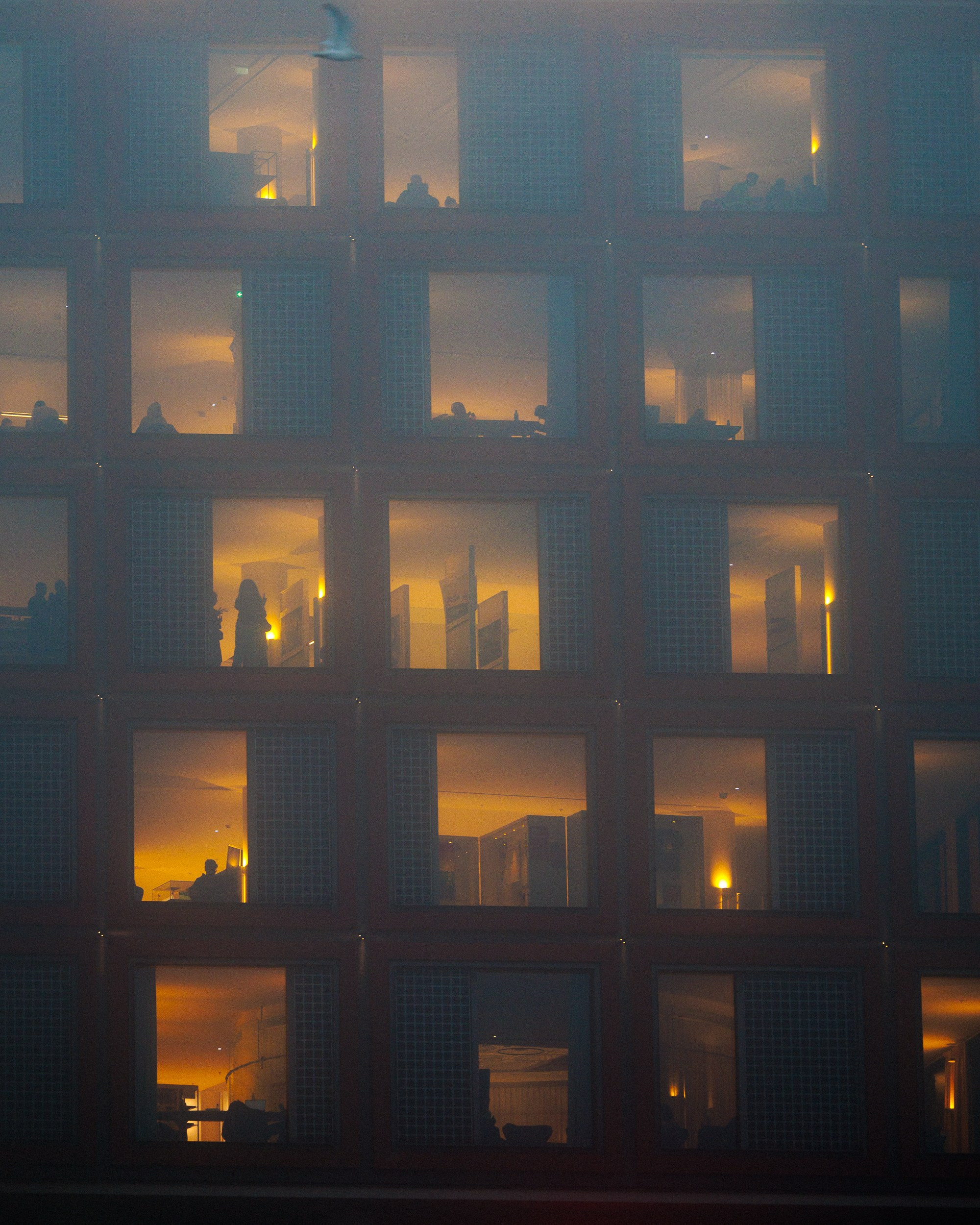 Street. Marius Ciocan