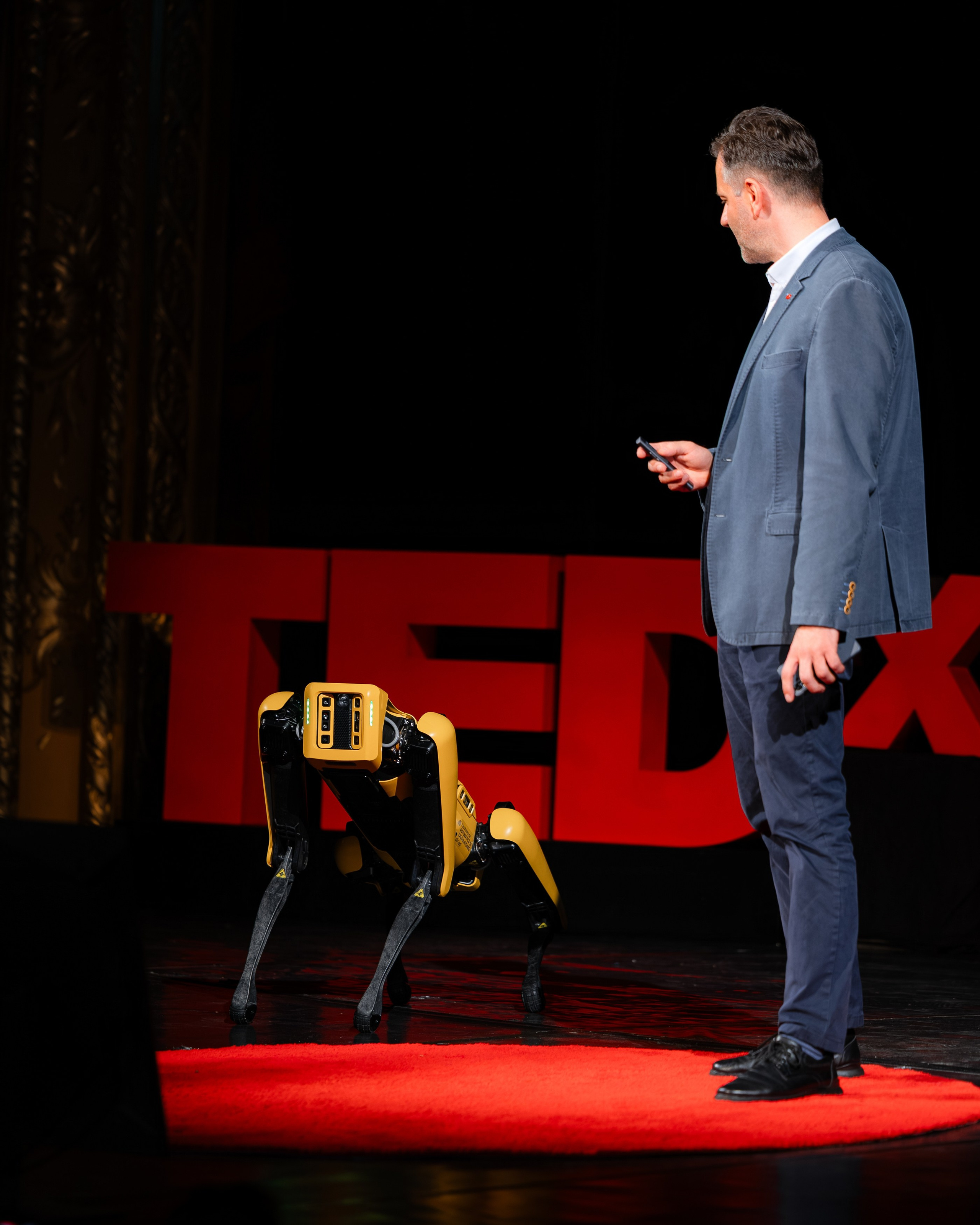 TedX Iași. Marius Ciocan
