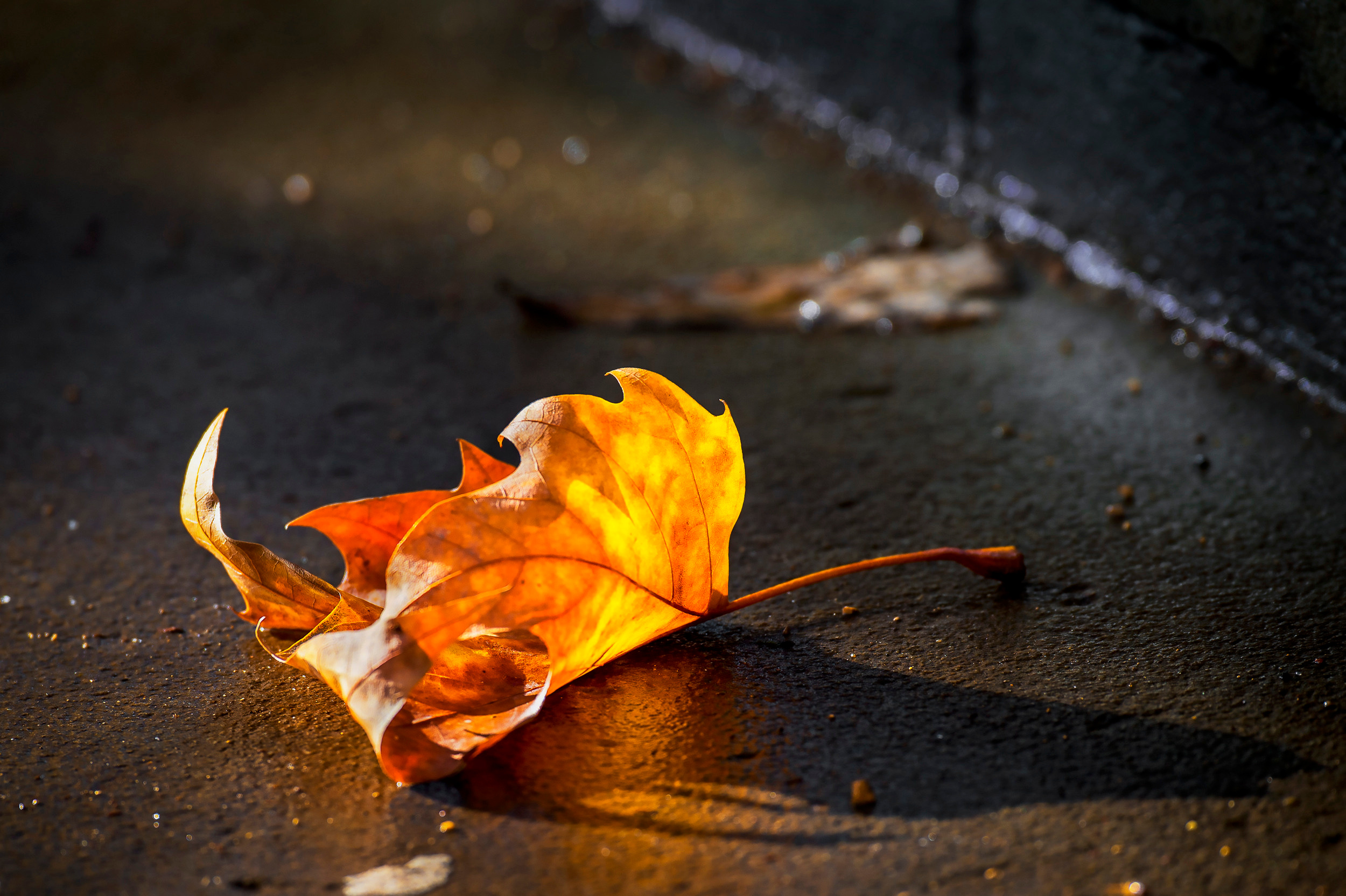 CLASSIC STILL-LIFE. Рекламный фотограф Андрей Кузнецов в Москве и Праге